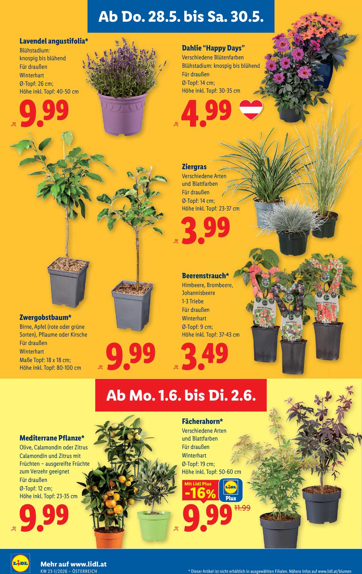 Leták Lidl Rakousko 28.5.-2.6.2026 strana 28