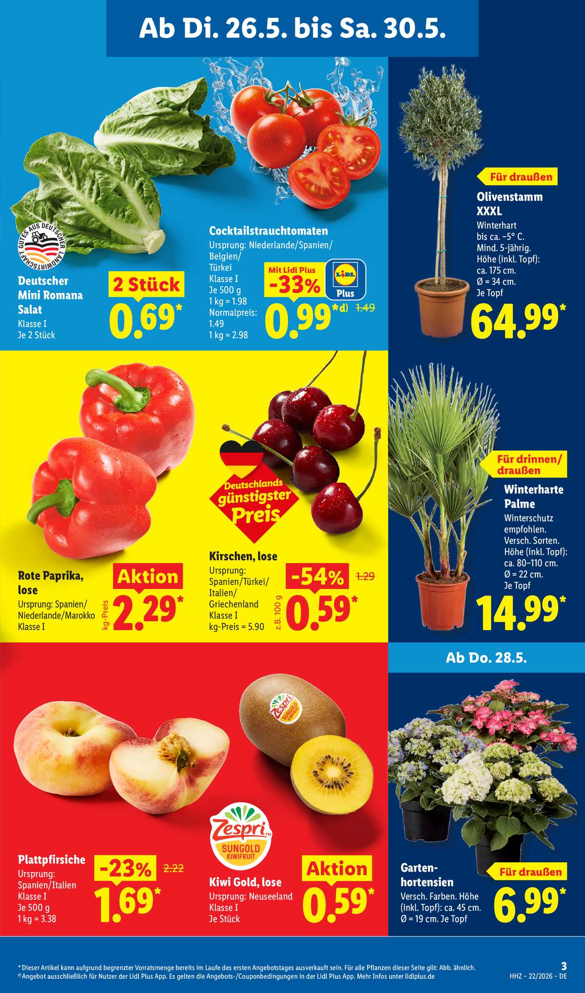 Leták Lidl Německo 26.5.-30.5.2026 strana 5