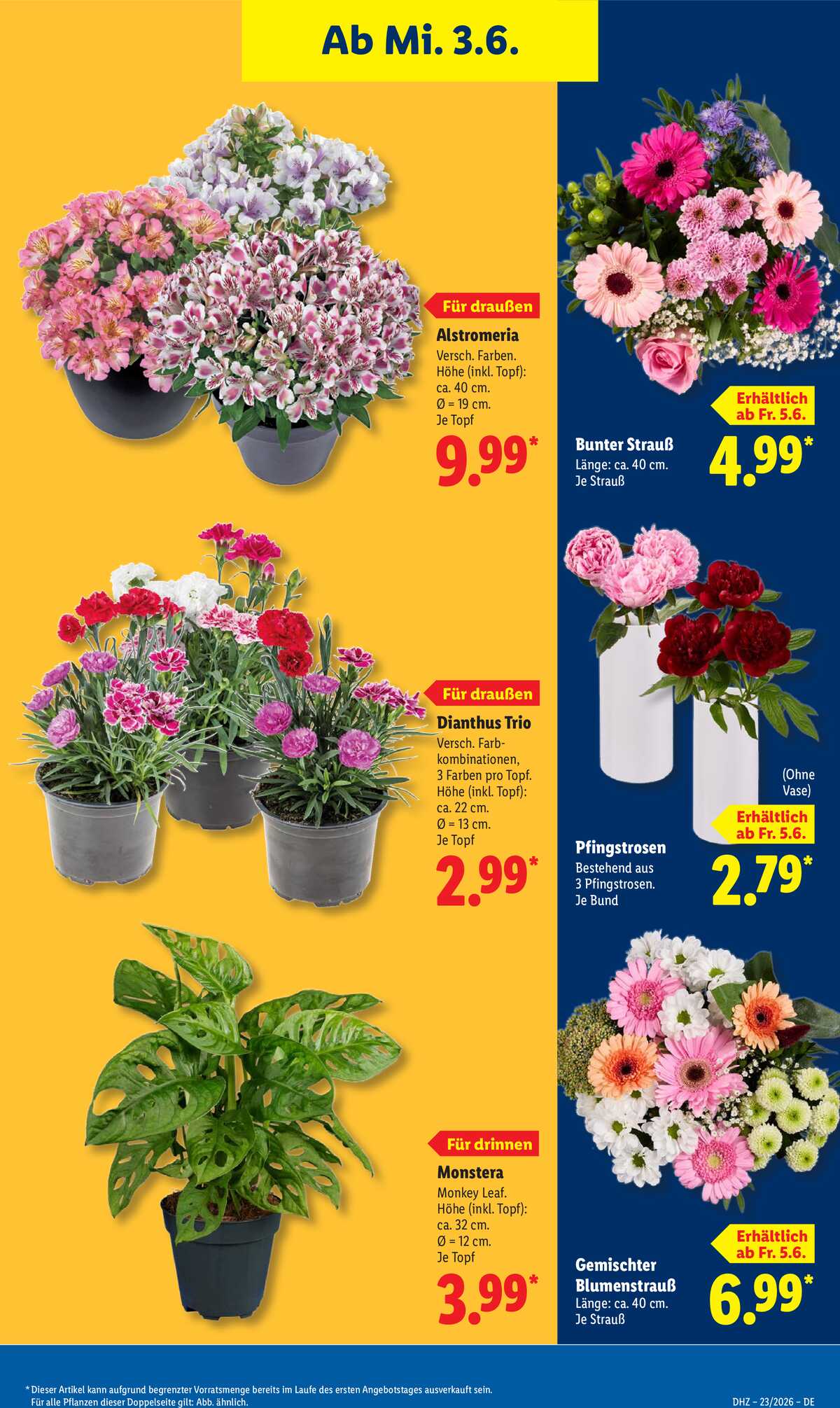 Leták Lidl Německo 1.6.-6.6.2026 strana 69