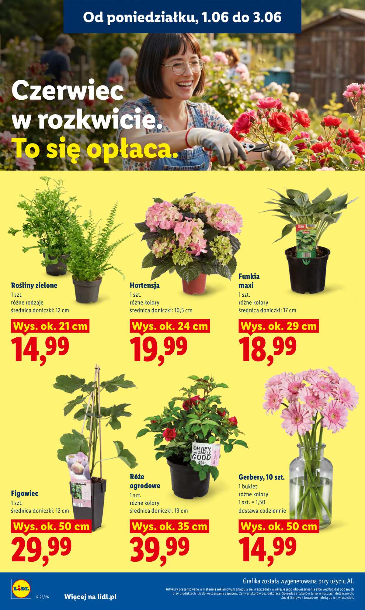 Leták Lidl Polsko 1.6.-3.6.2026 - Zpravodaj platný od 1.06 do 3.06 strana 106