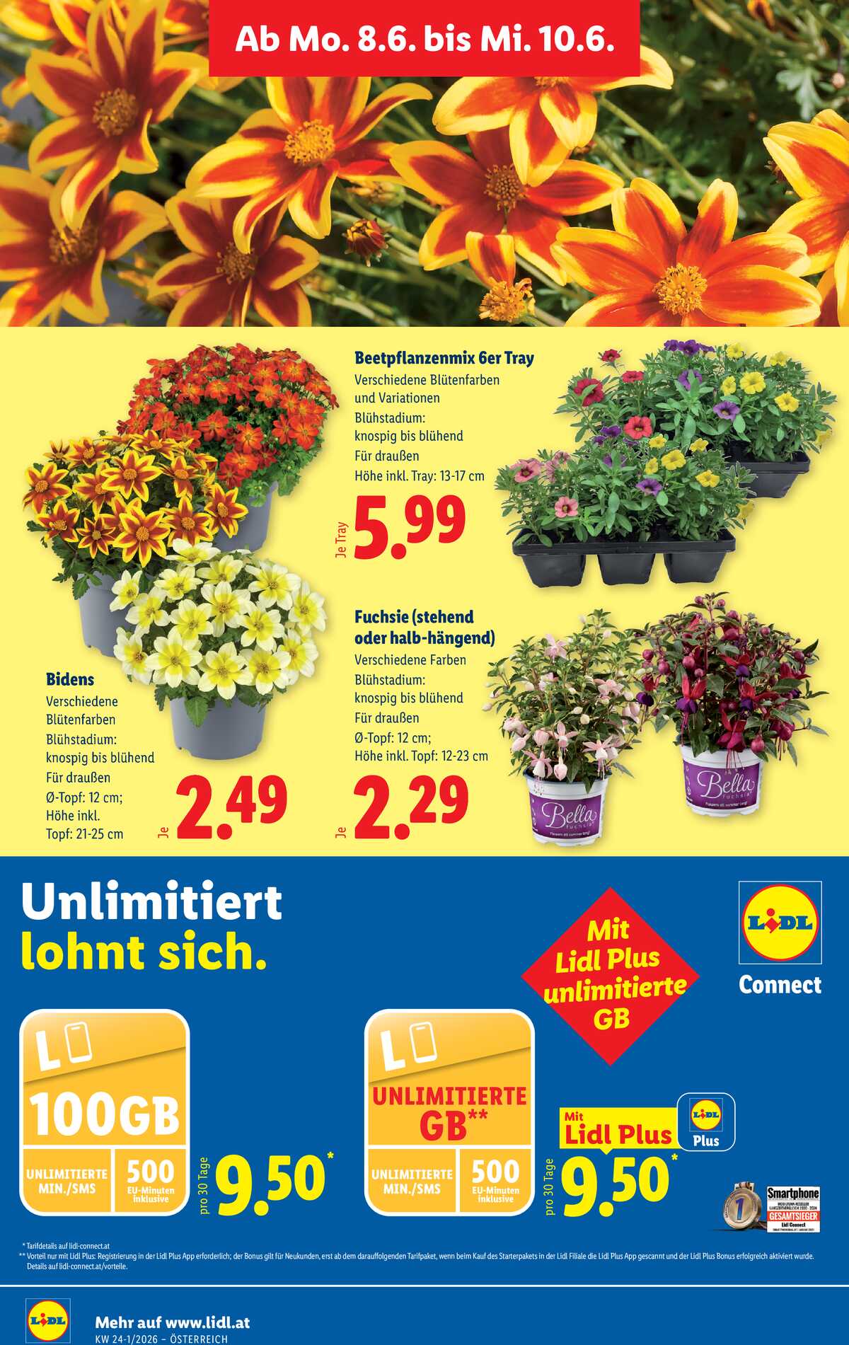 Leták Lidl Rakousko 3.6.-10.6.2026 strana 35