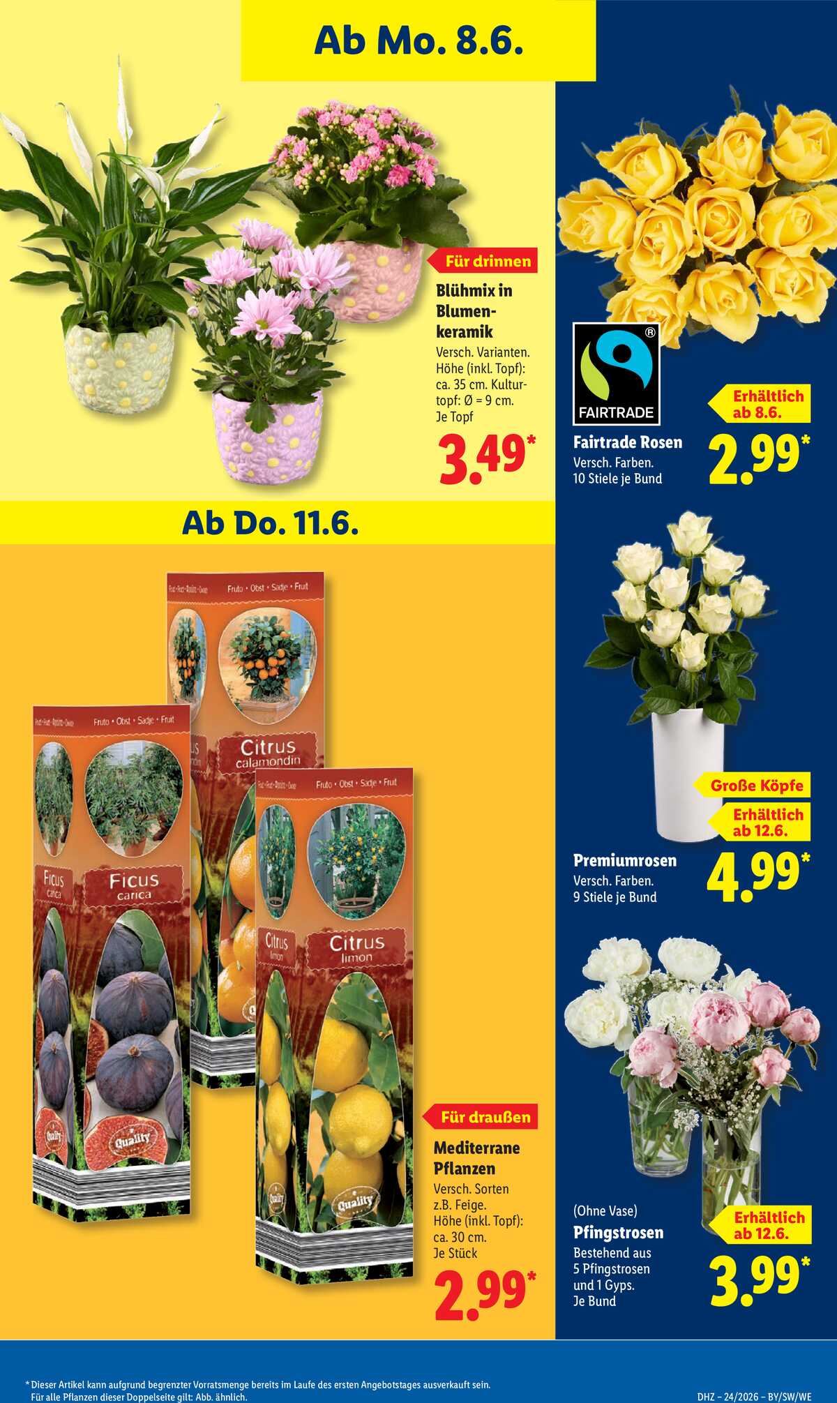 Leták Lidl Německo 8.6.-13.6.2026 strana 69
