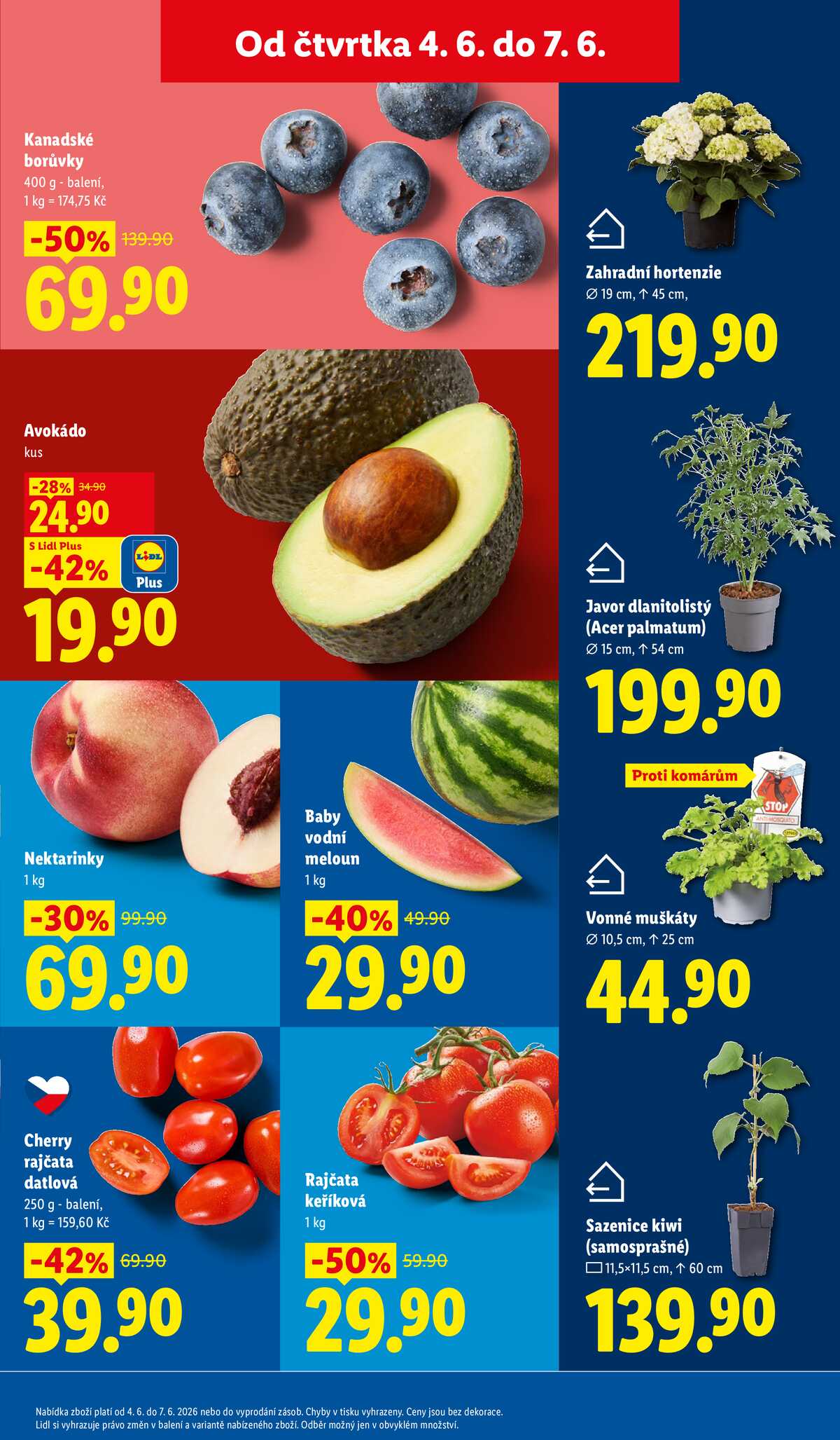 Lidl od 4.6. do 7.6.2026 strana 11