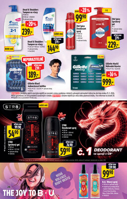 Albert  Hypermarket katalog Léto od 3.6. do 16.6.2026