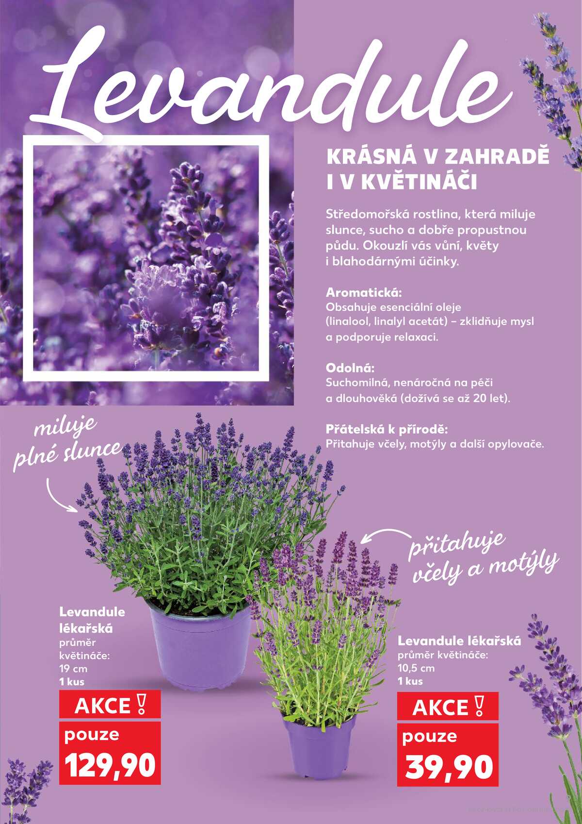 Kaufland 3.6. - 9.6. - Kaufland - Česká Lípa strana 9