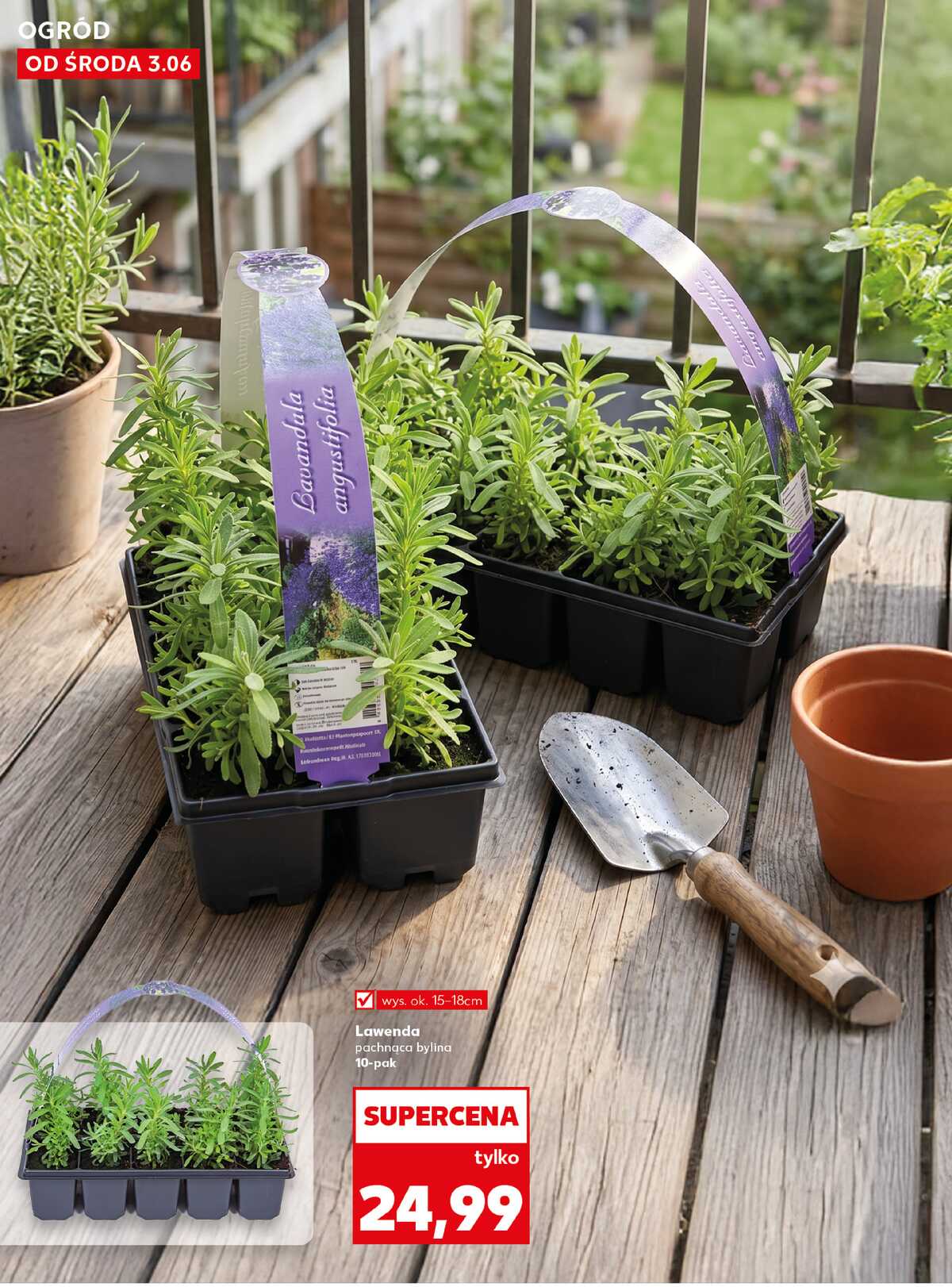 Leták Kaufland Polsko 3.6.-10.6.2026 strana 10