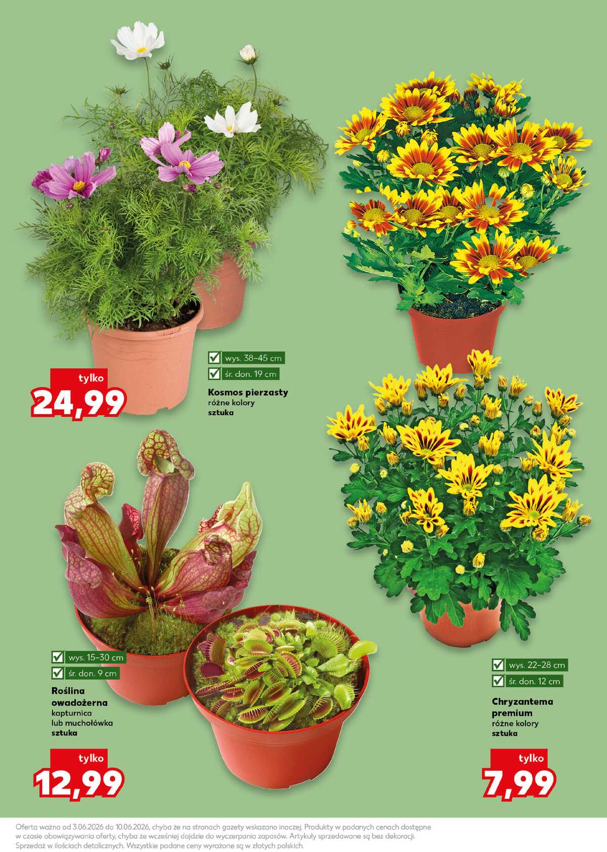 Leták Kaufland Polsko 3.6.-10.6.2026 strana 11