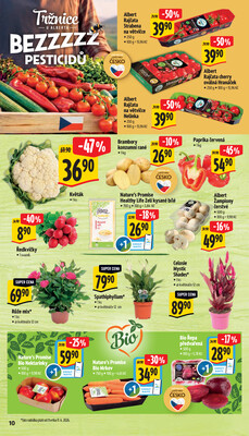 Albert Supermarket od 10.6. do 16.6.2026