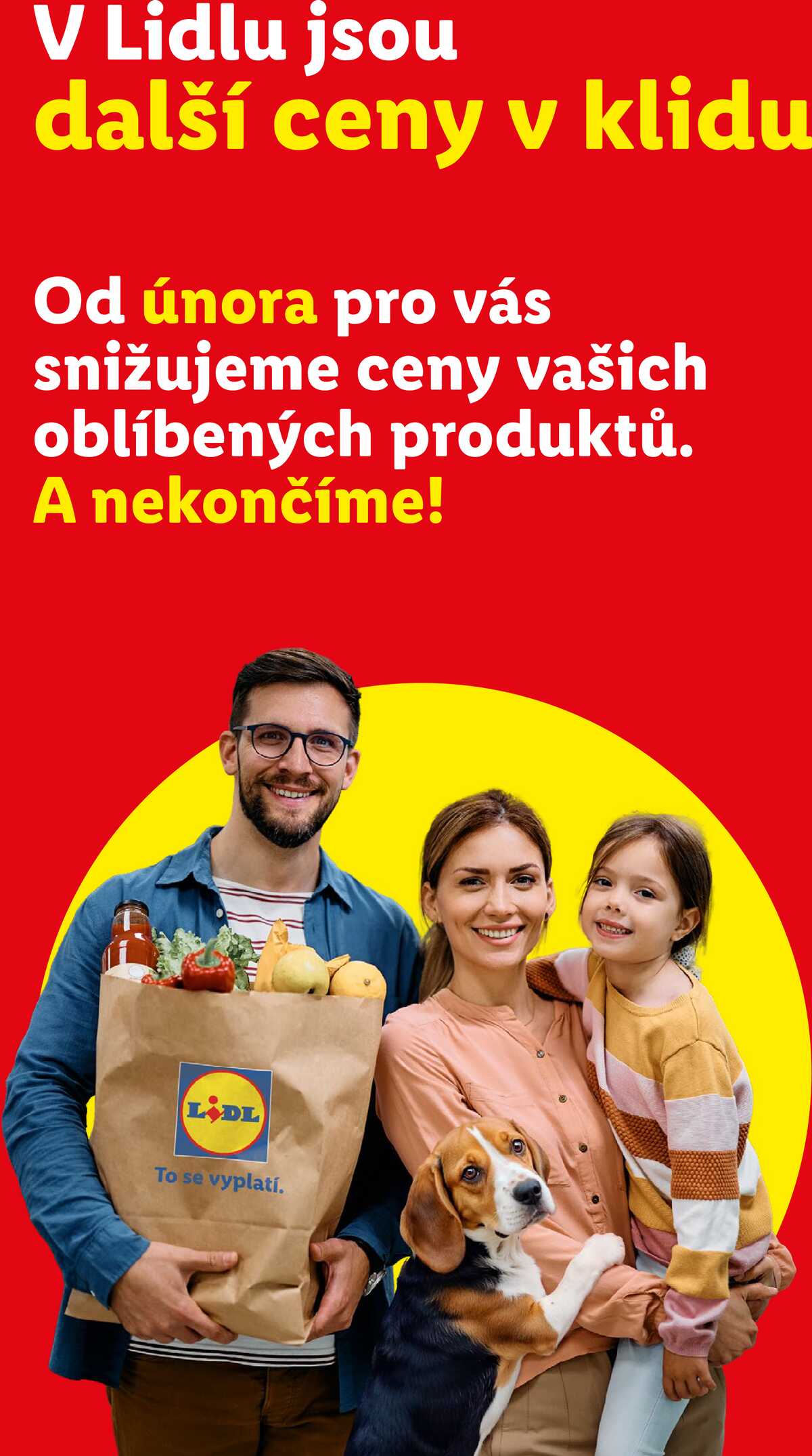 Lidl Čtvrtek od 11.6. do 14.6.2026 strana 3