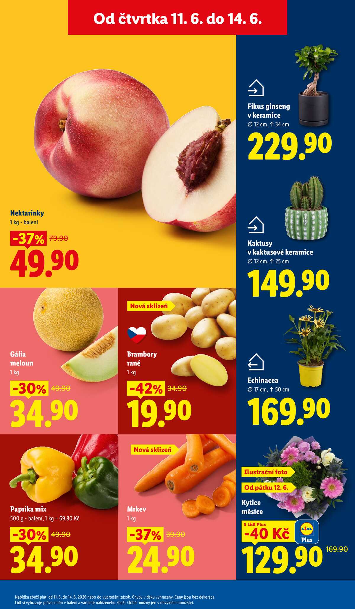 Lidl Čtvrtek od 11.6. do 14.6.2026 strana 13
