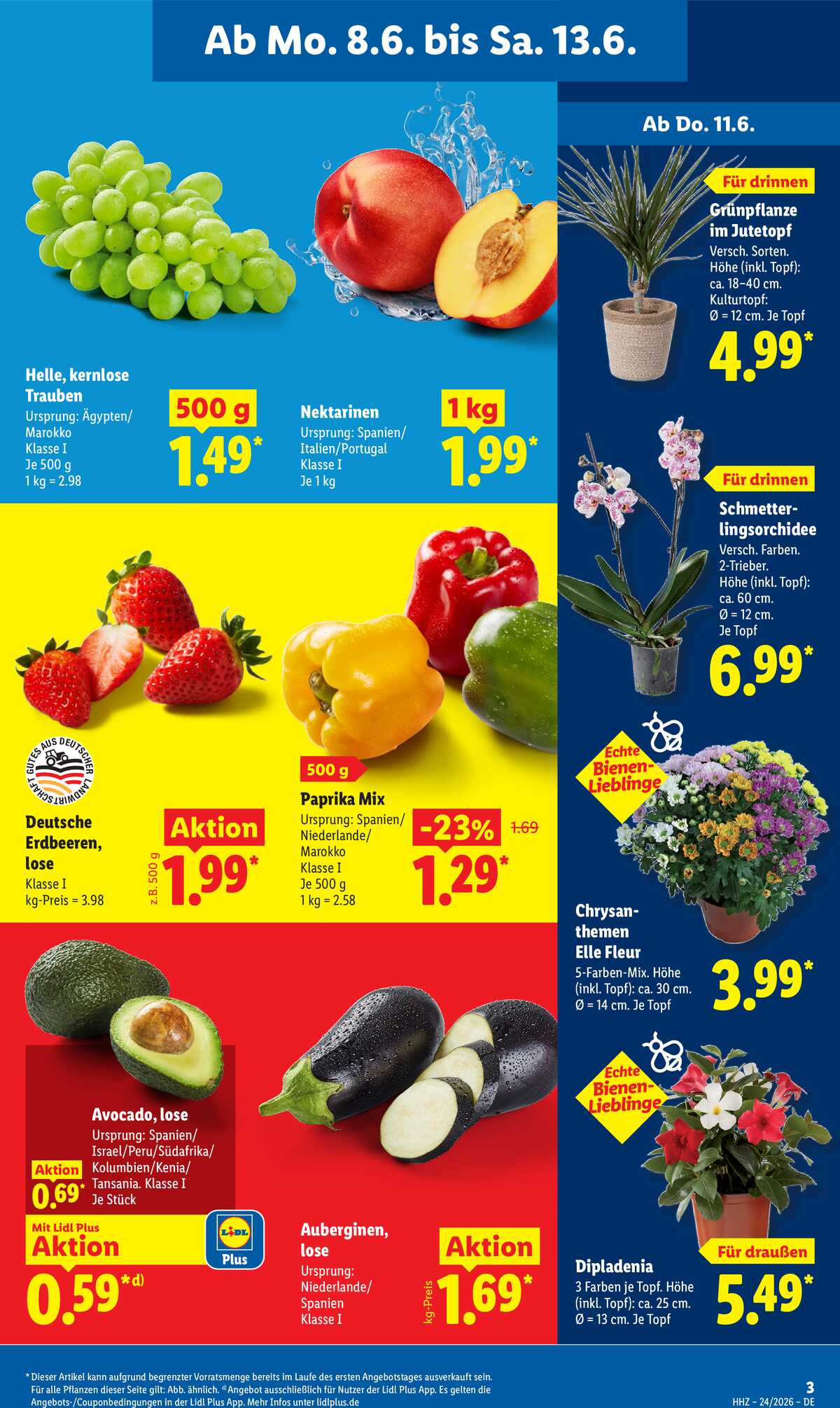 Leták Lidl Německo 8.6.-13.6.2026 strana 7