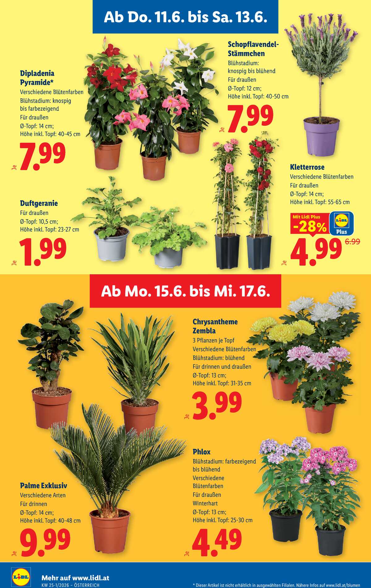 Leták Lidl Rakousko 11.6.-17.6.2026 strana 34