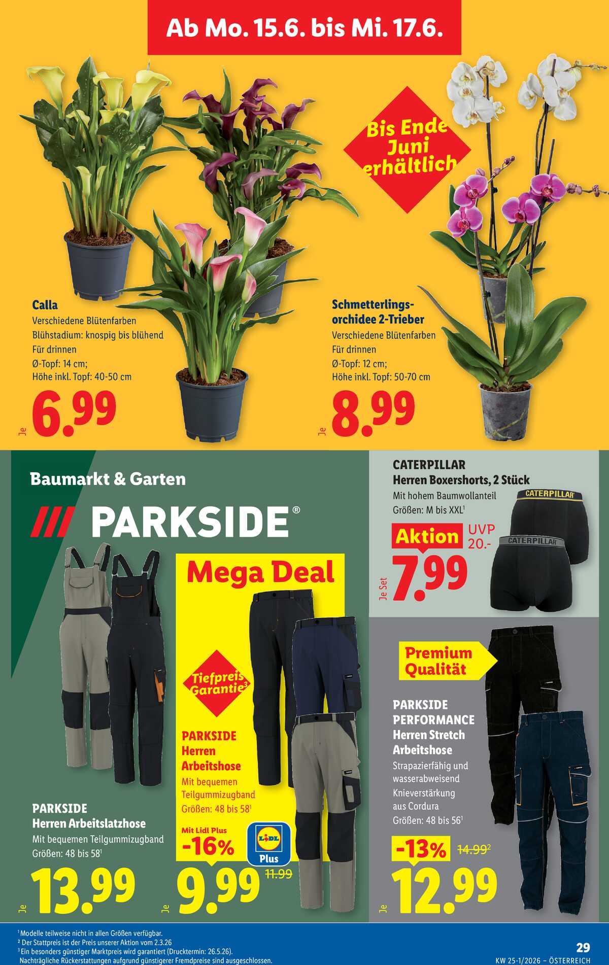 Leták Lidl Rakousko 11.6.-17.6.2026 strana 36
