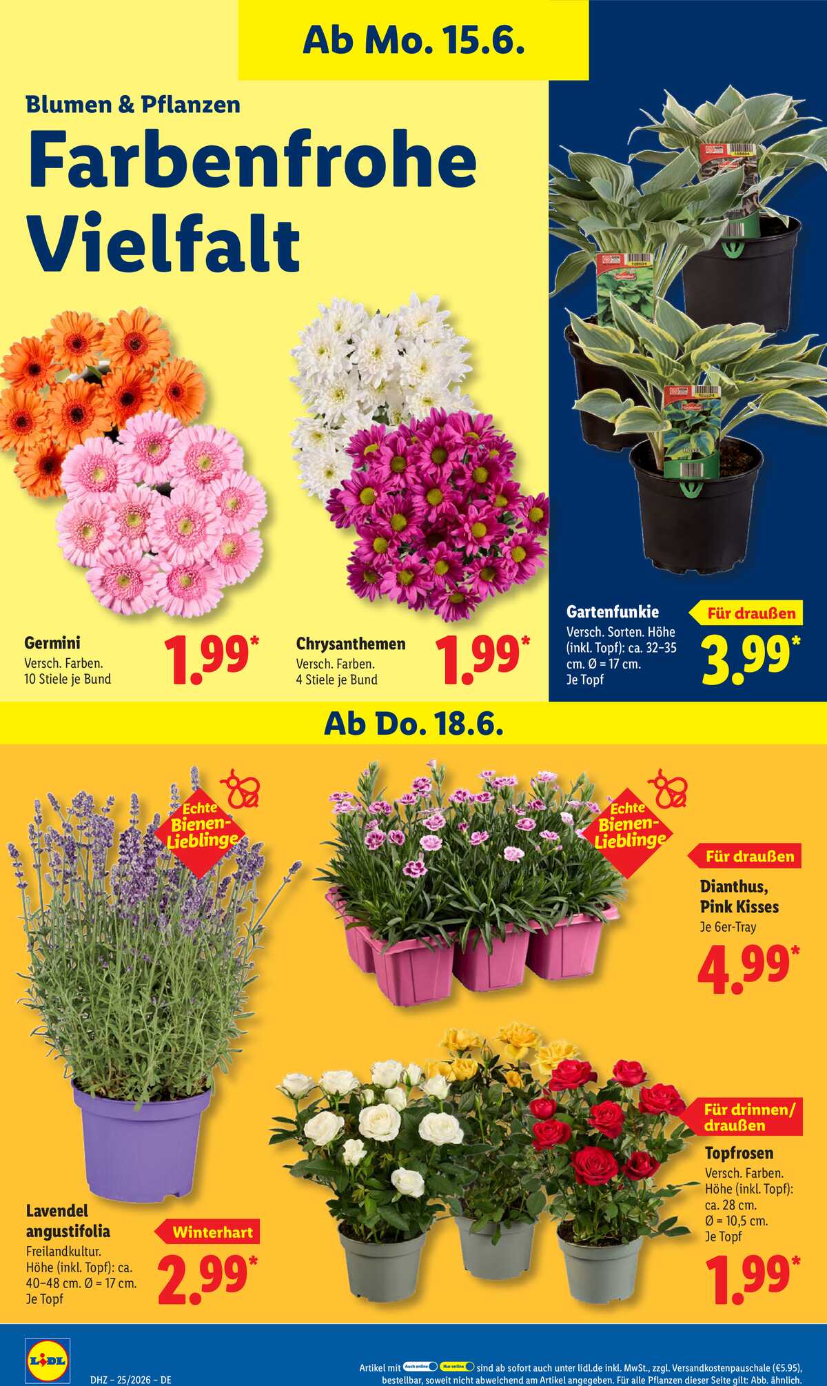 Leták Lidl Německo 15.6.-20.6.2026 strana 70