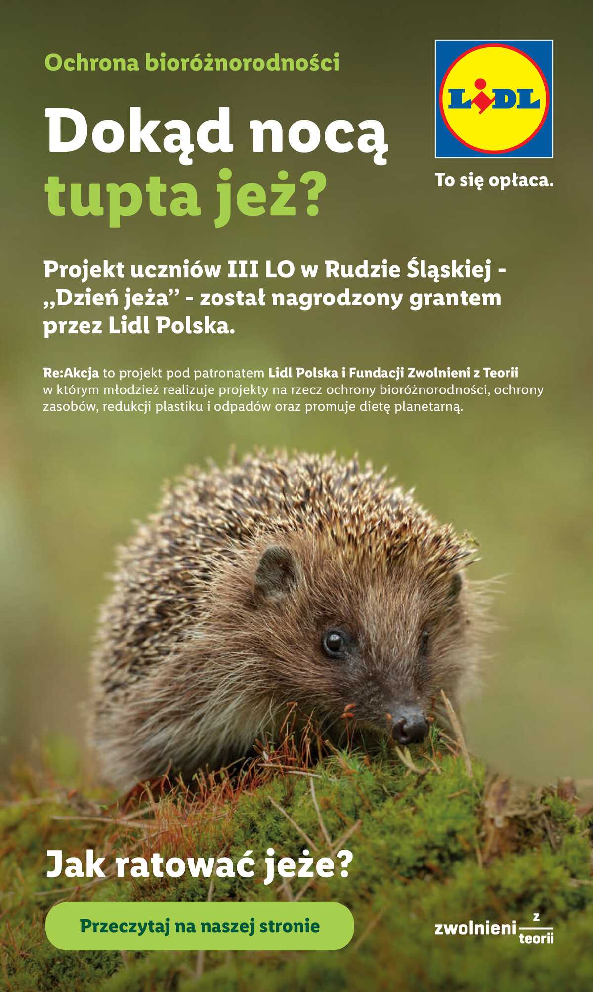 Leták Lidl Polsko 11.6.-13.6.2026 - Leták platí od 11. 6. do 13. 6. strana 96