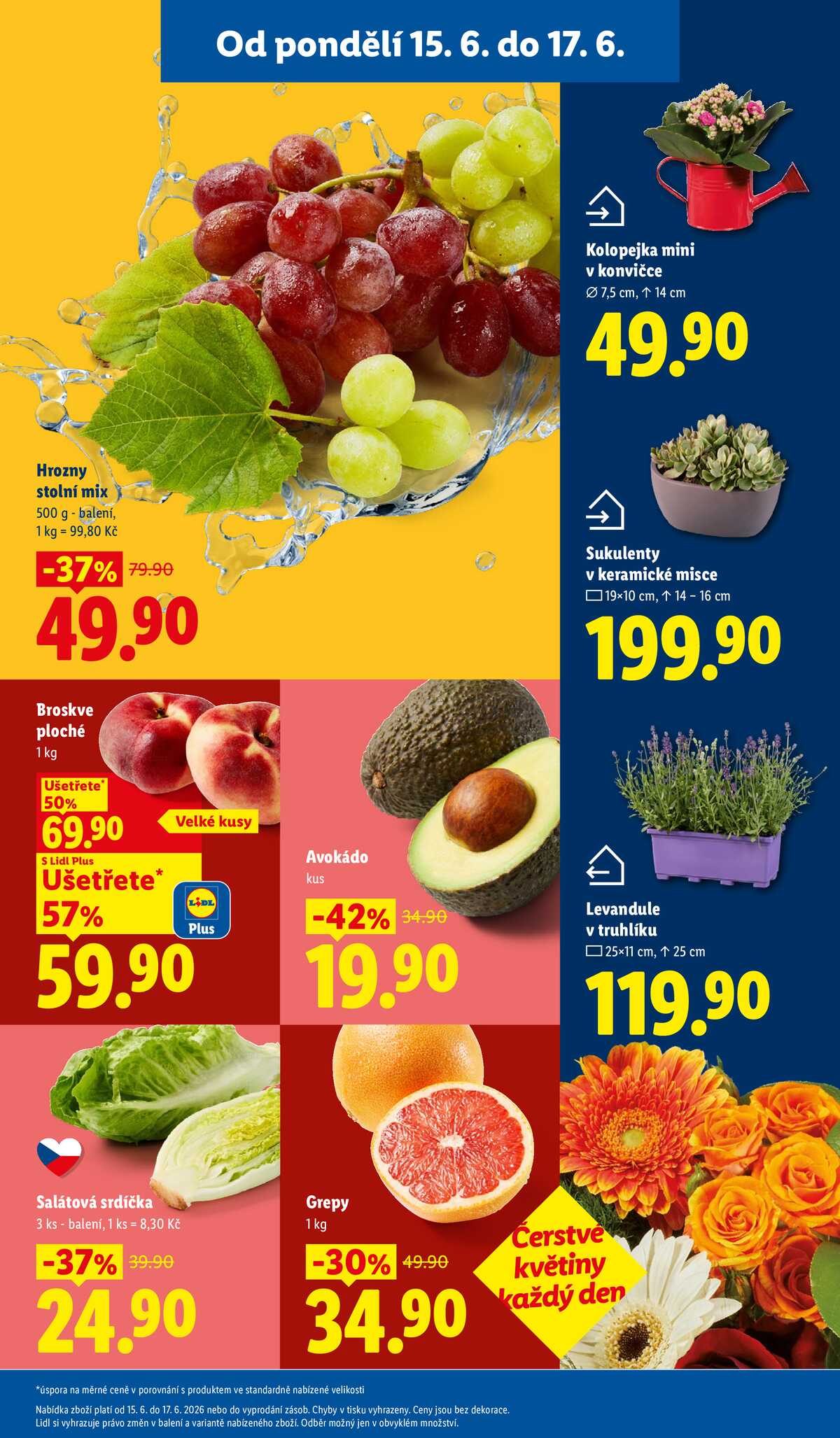 Lidl od 15.6. do 17.6.2026 strana 11
