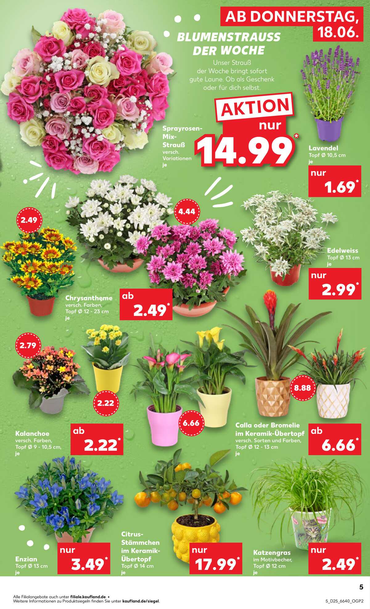 Leták Kaufland Německo 18.6.-24.6.2026 strana 5