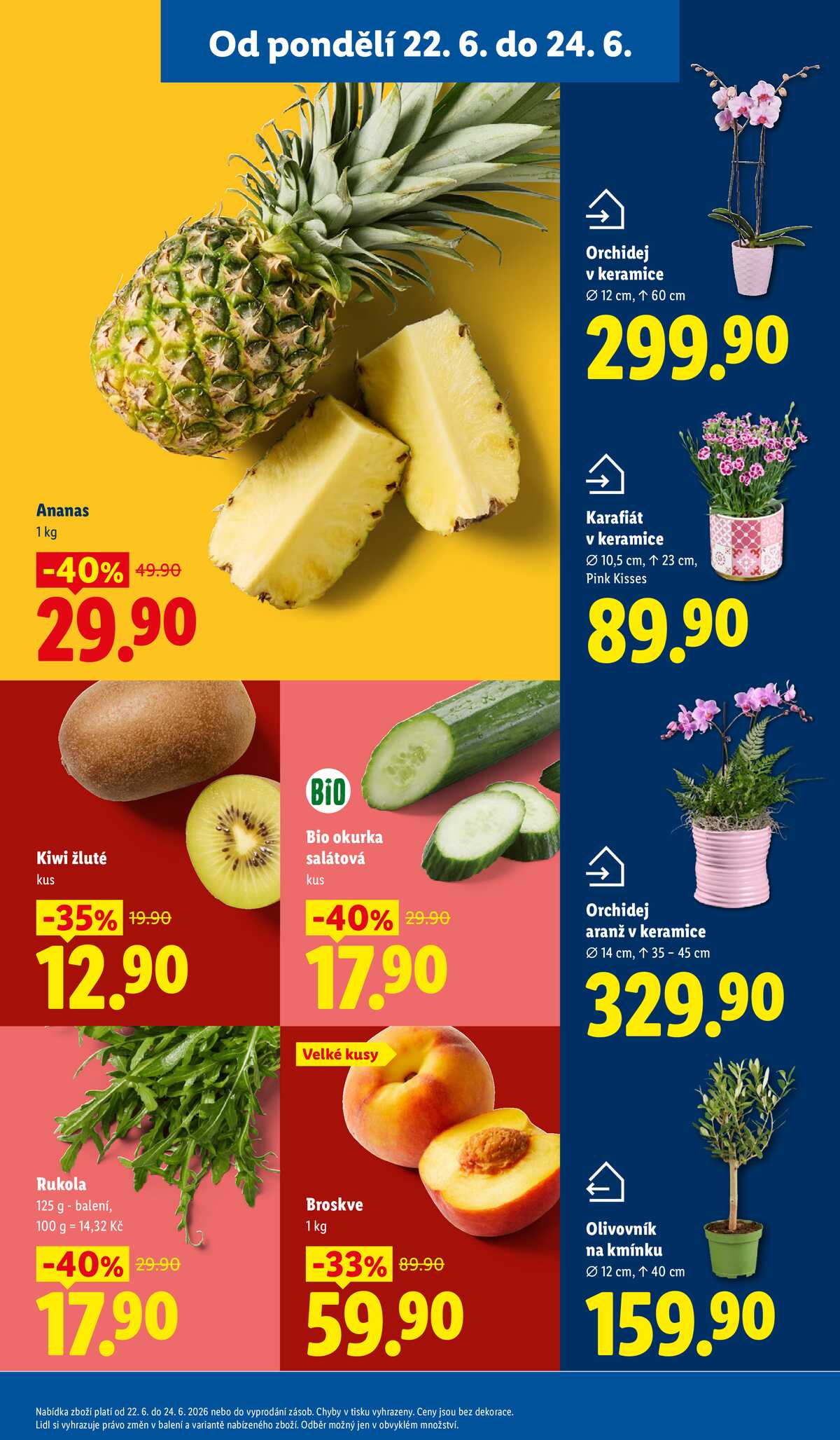 Lidl od 22.6. do 24.6.2026 strana 13
