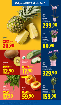 Lidl od 22.6. do 24.6.2026