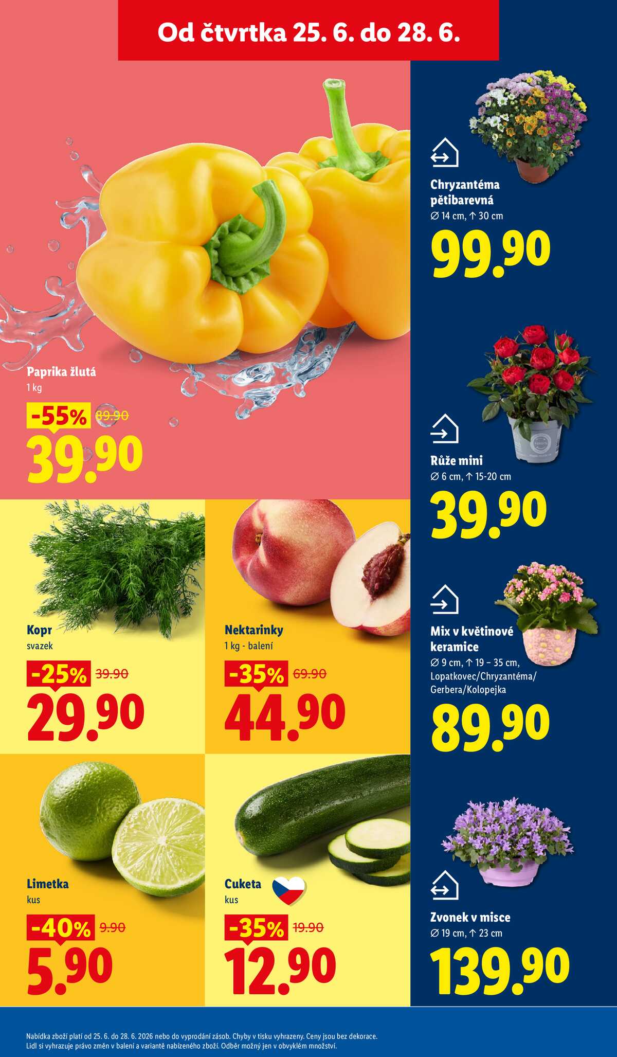 Lidl Čtvrtek od 25.6. do 28.6.2026 strana 13