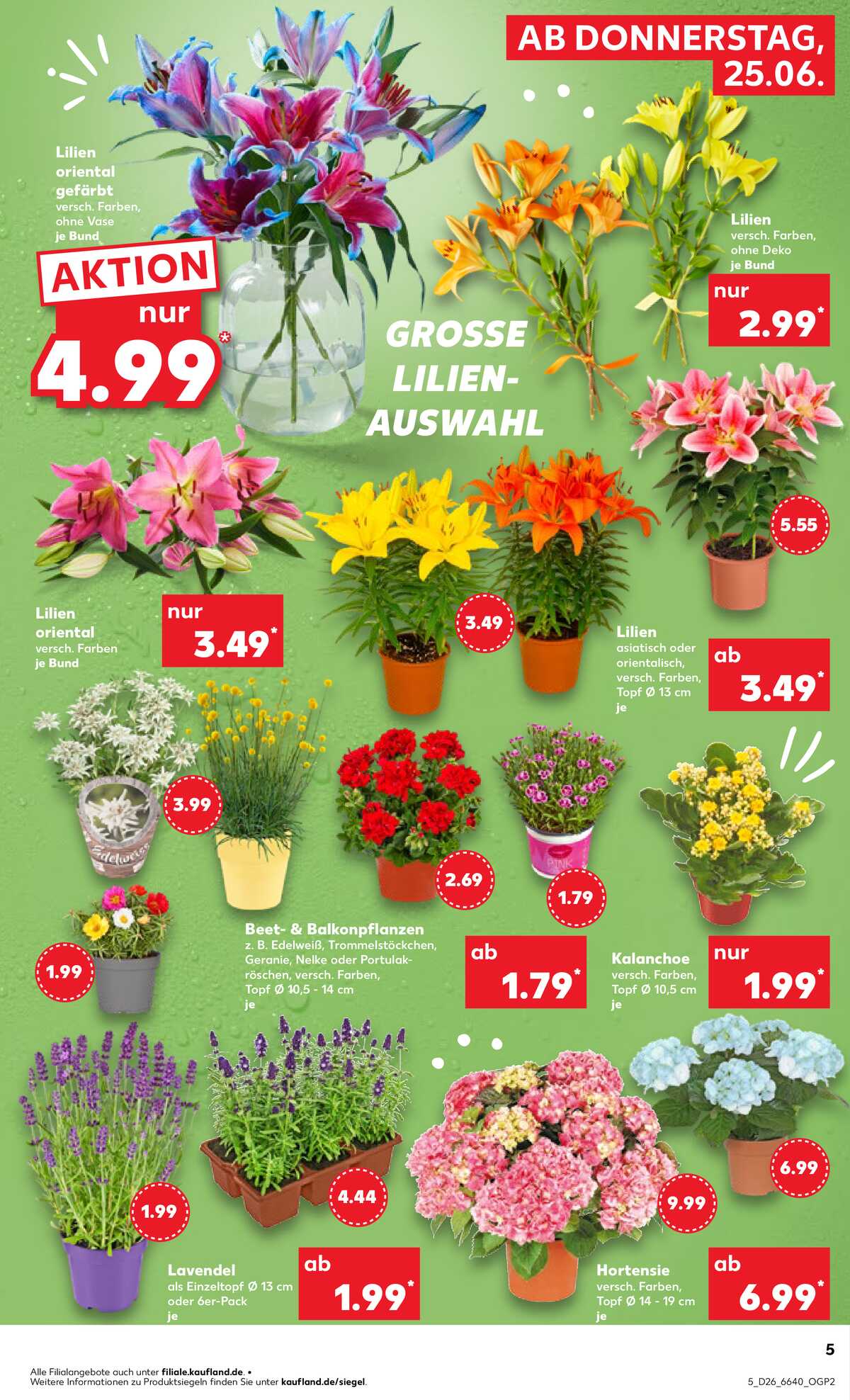 Leták Kaufland Německo 25.6.-1.7.2026 strana 5