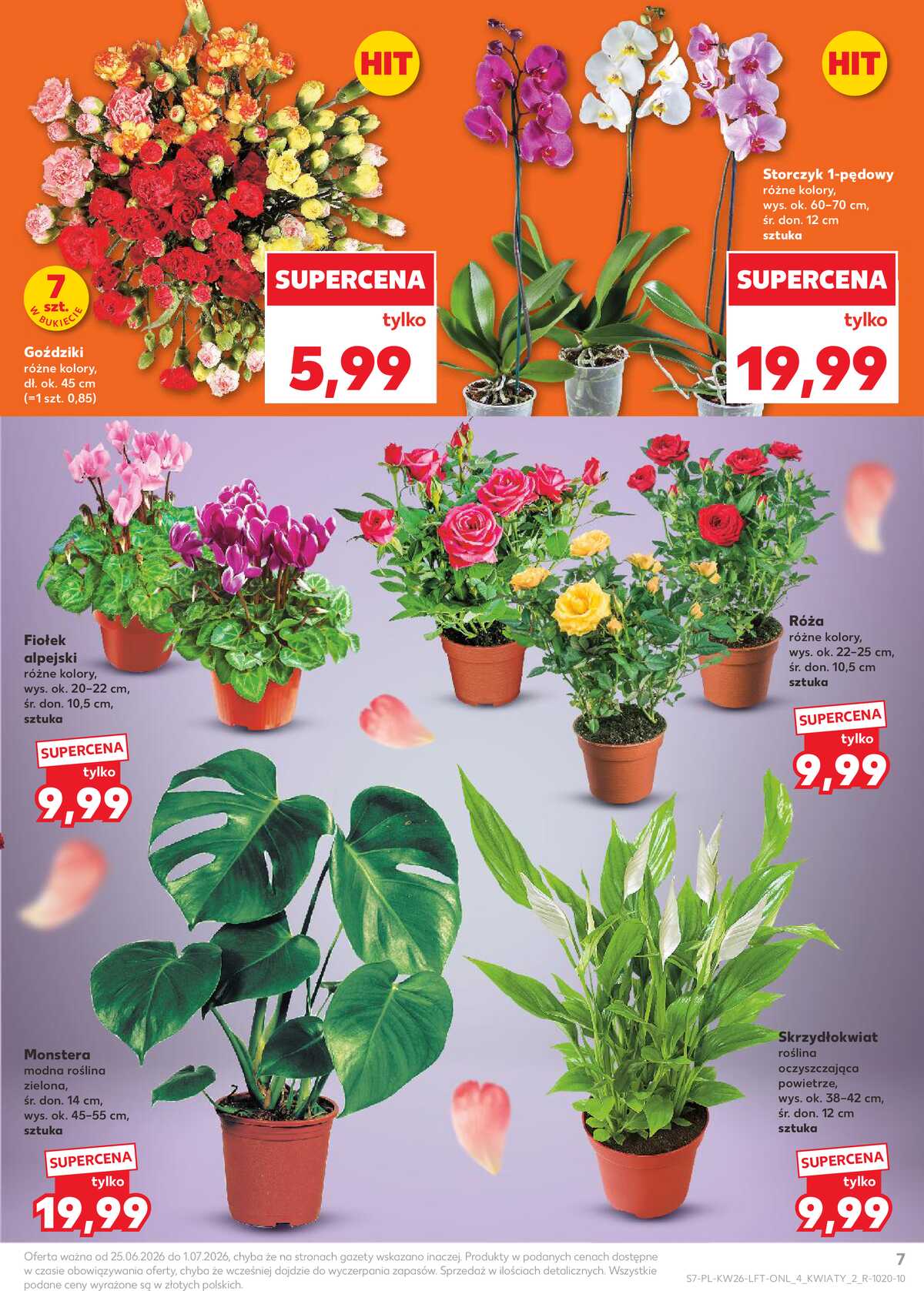 Leták Kaufland Polsko 25.6.-1.7.2026 - Týdenní zpravodaj strana 7