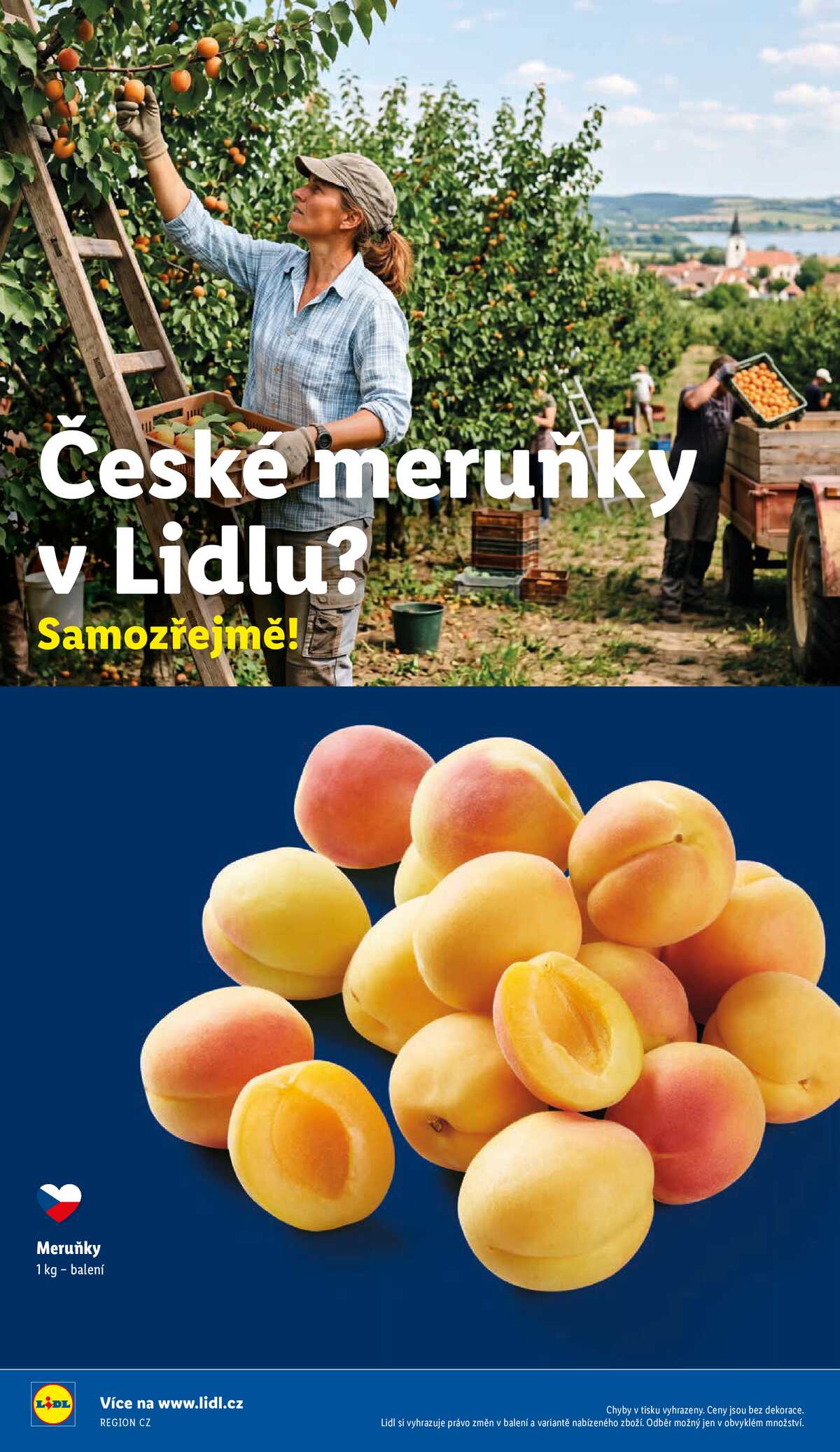 Lidl Čtvrtek od 2.7. do 5.7.2026 strana 48