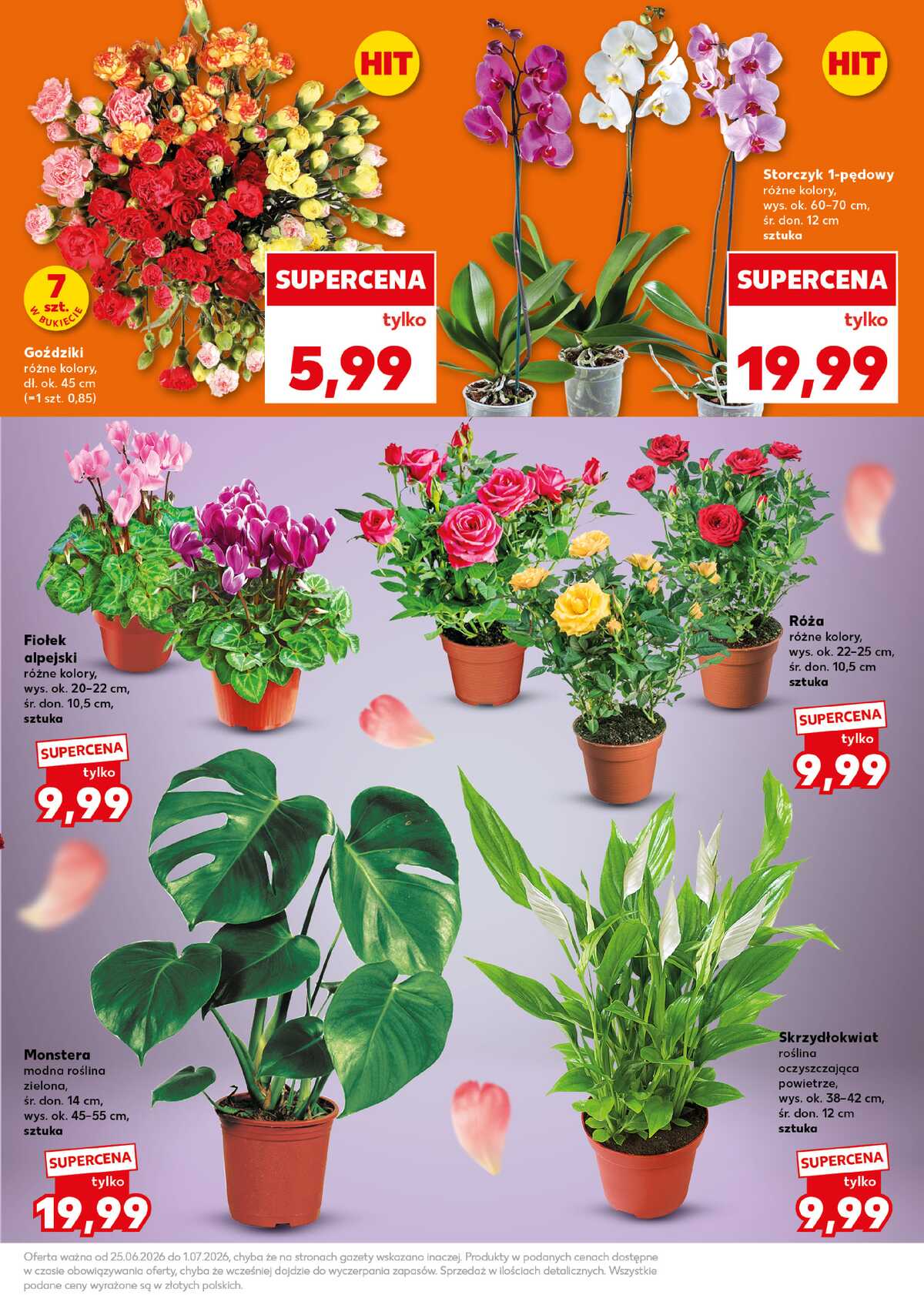 Leták Kaufland Polsko 29.6.-1.7.2026 - Silný start strana 7