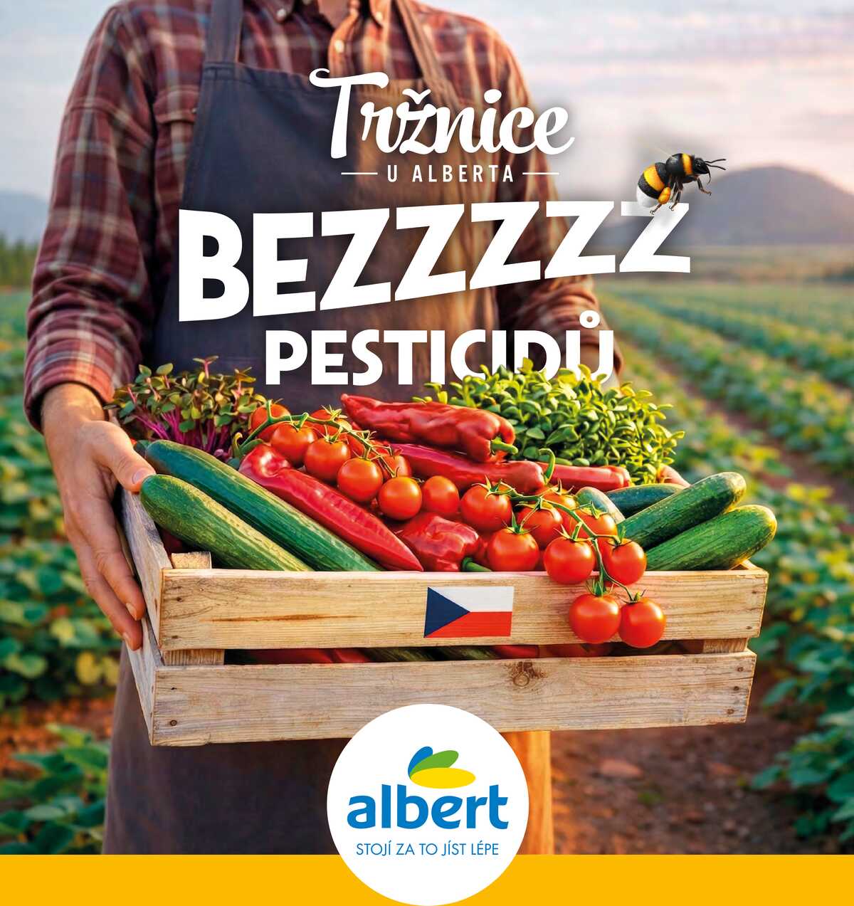 Albert Magazín do 1.9. strana 2