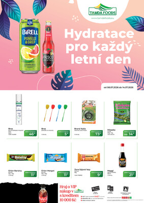 Tamda Foods letáky