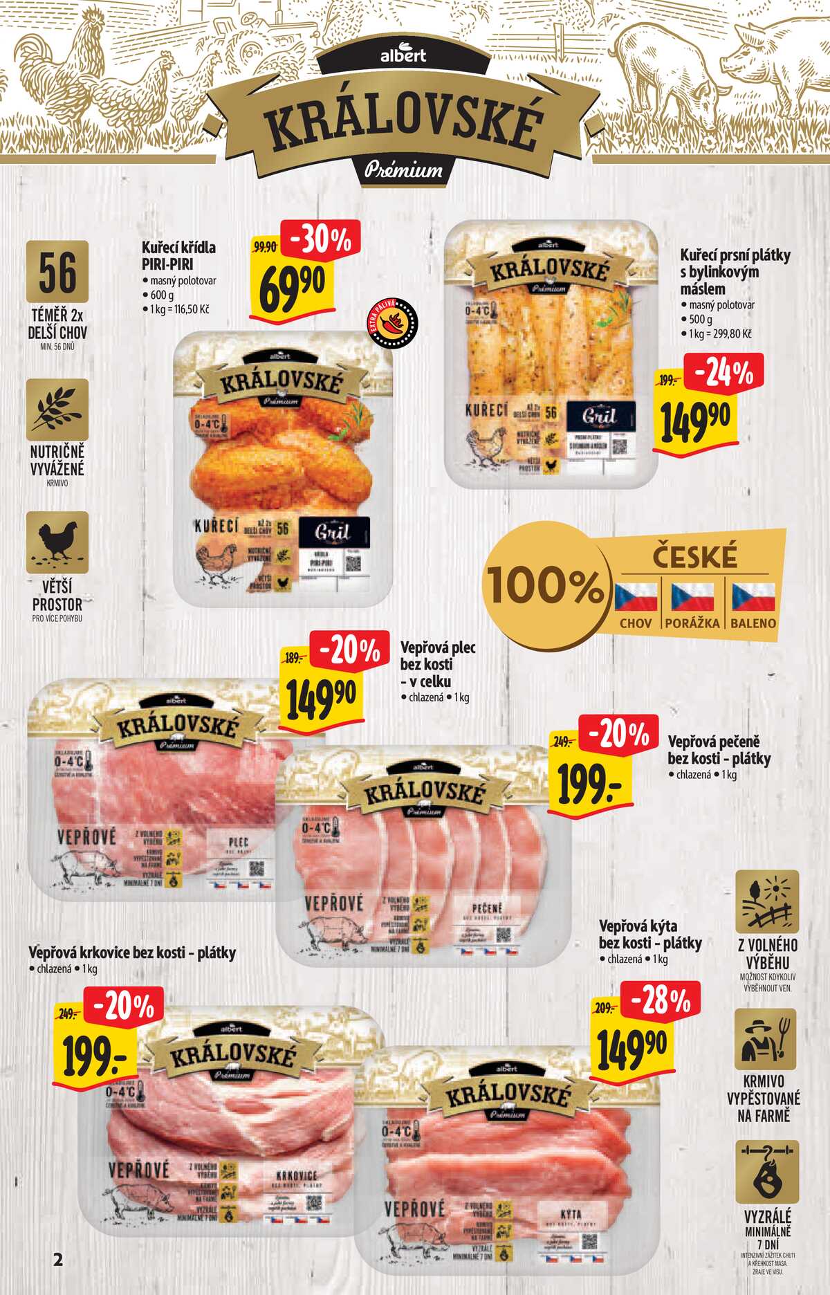 Albert  Hypermarket katalog Gril od 22.7. do 4.8.2026 strana 2