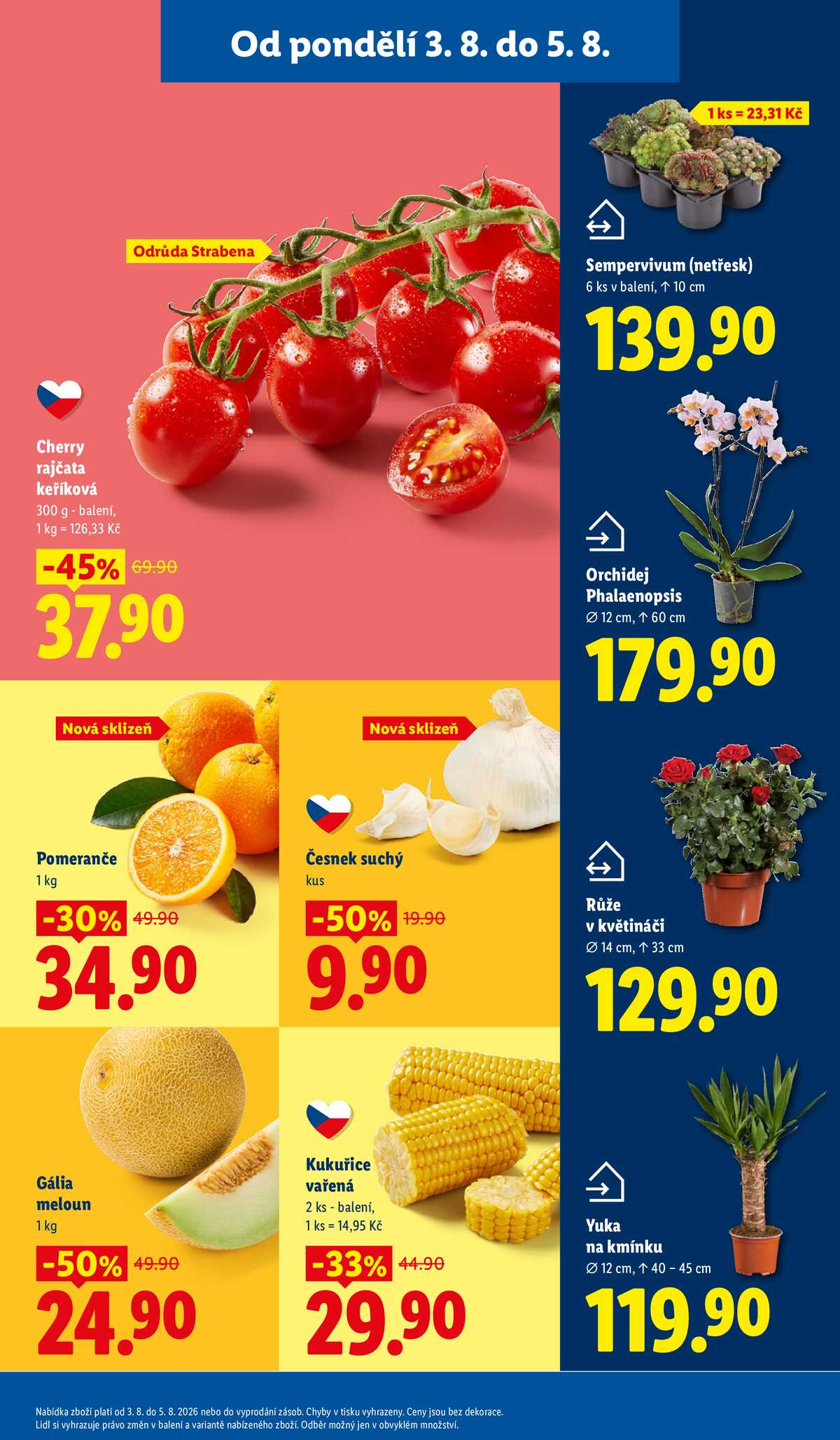 Lidl od 3.8. do 5.8.2026 strana 13