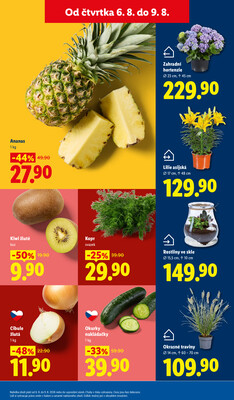 Lidl Čtvrtek od 6.8. do 9.8.2026