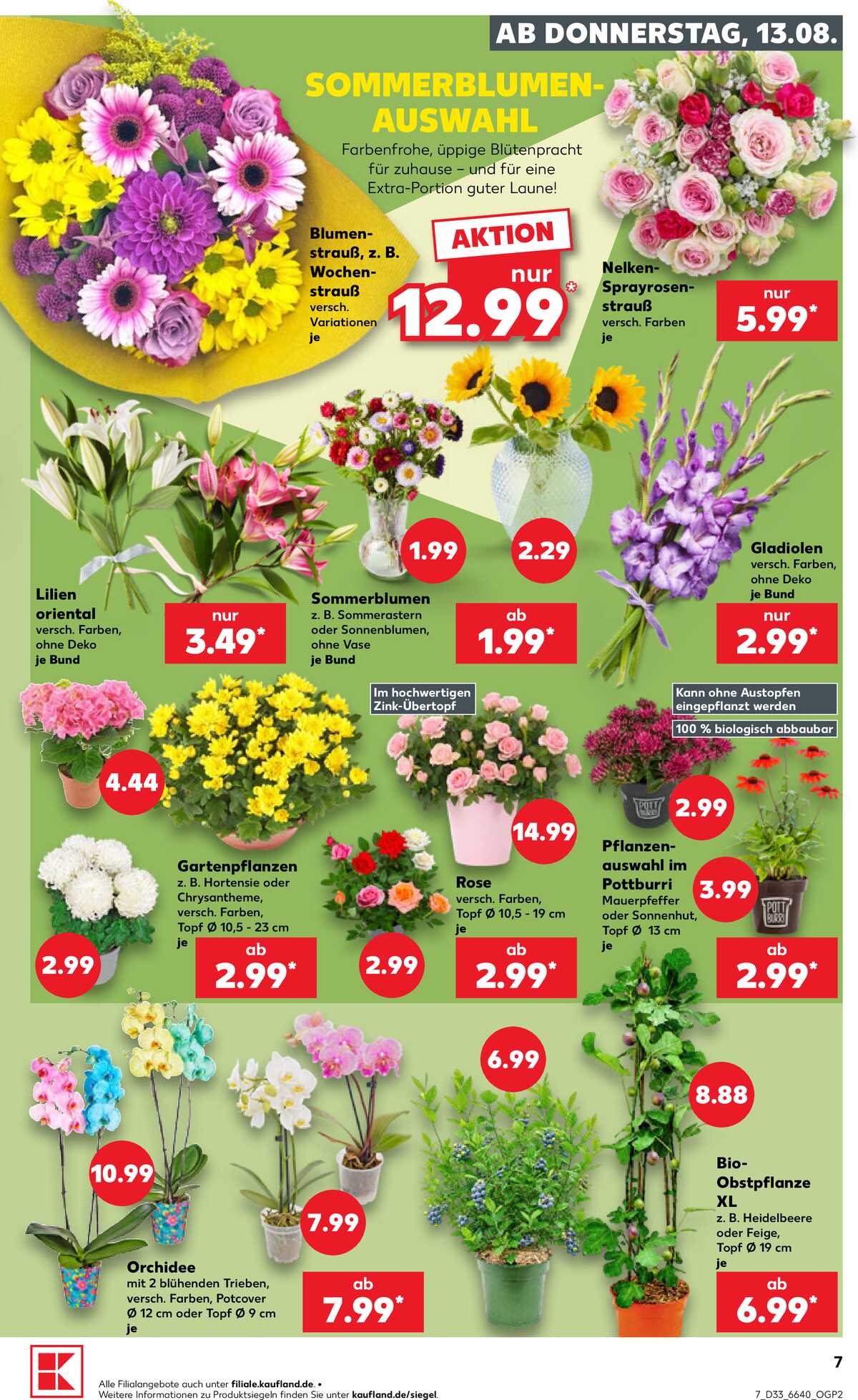 Leták Kaufland Německo 13.8.-19.8.2026 strana 7
