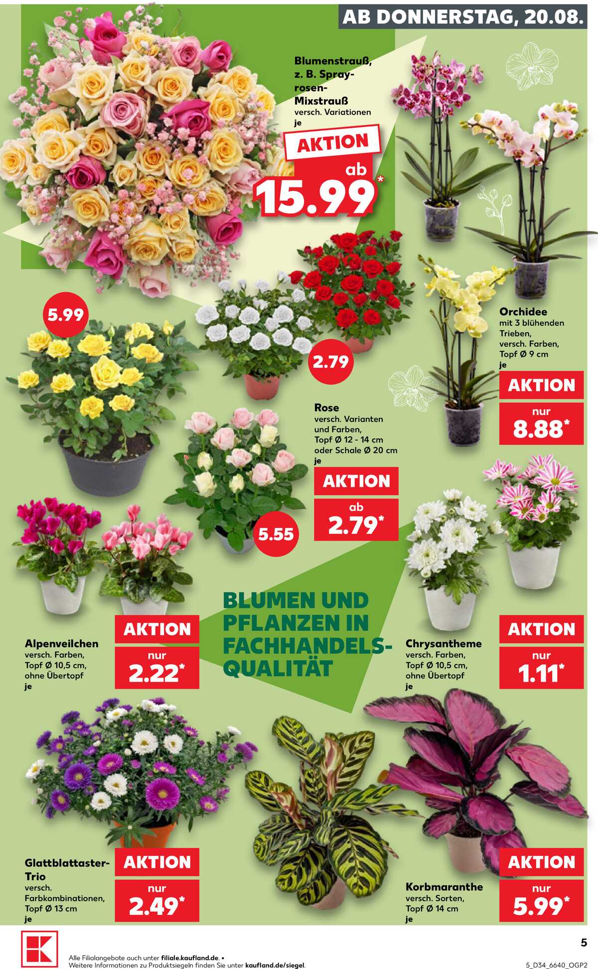 Leták Kaufland Německo 20.8.-26.8.2026 strana 5