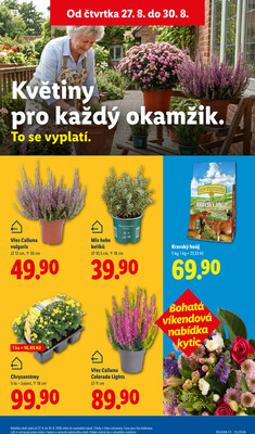Lidl Čtvrtek od 27.8. do 30.8.2026