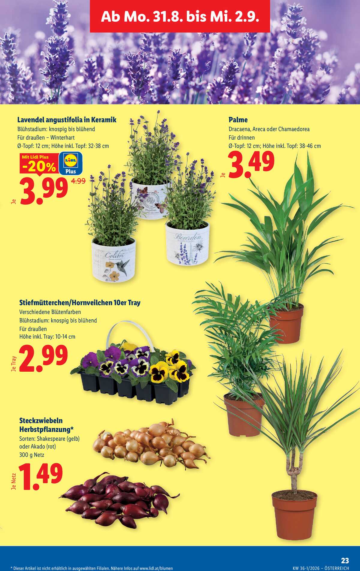 Leták Lidl Rakousko 27.8.-2.9.2026 strana 30