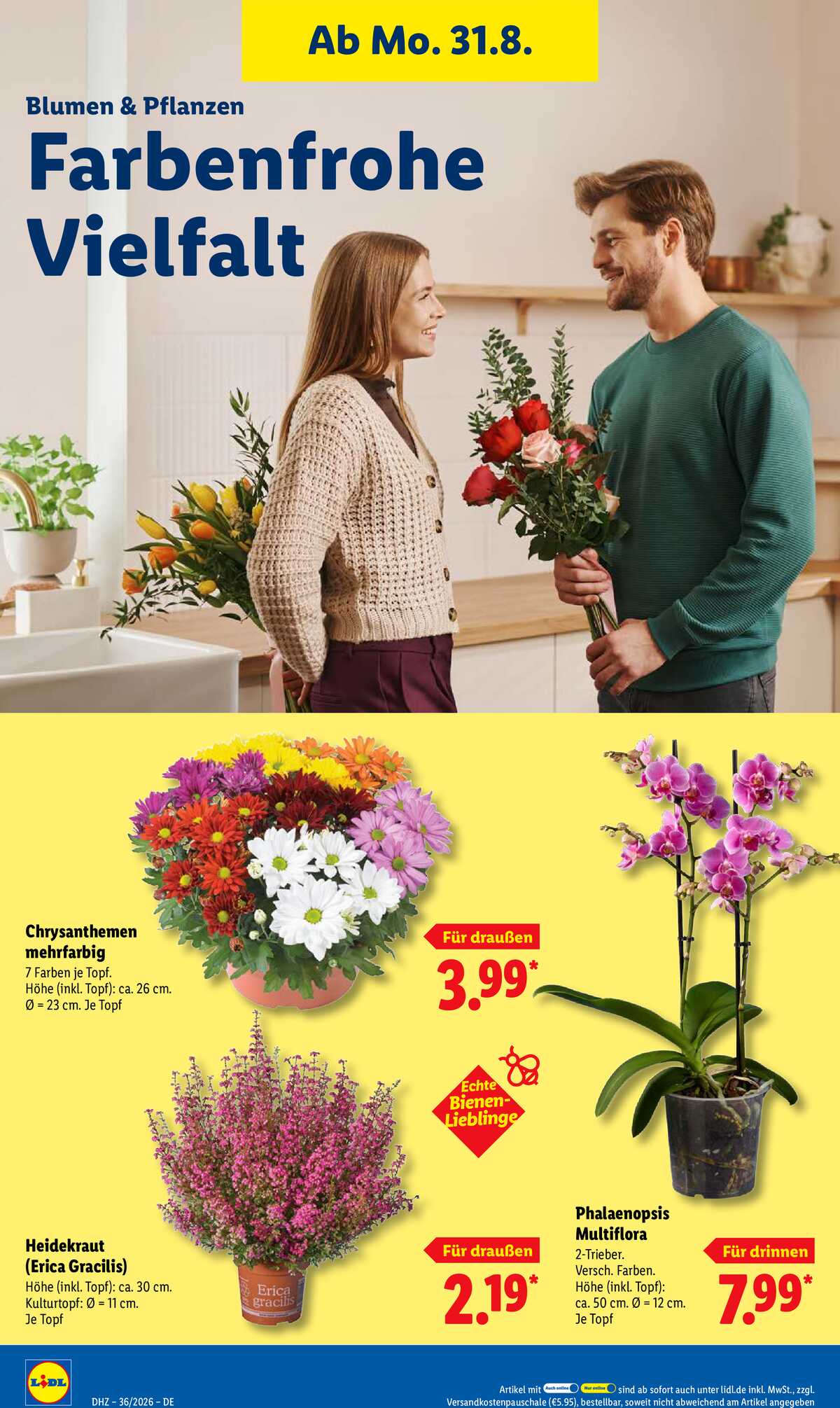 Leták Lidl Německo 31.8.-5.9.2026 strana 26