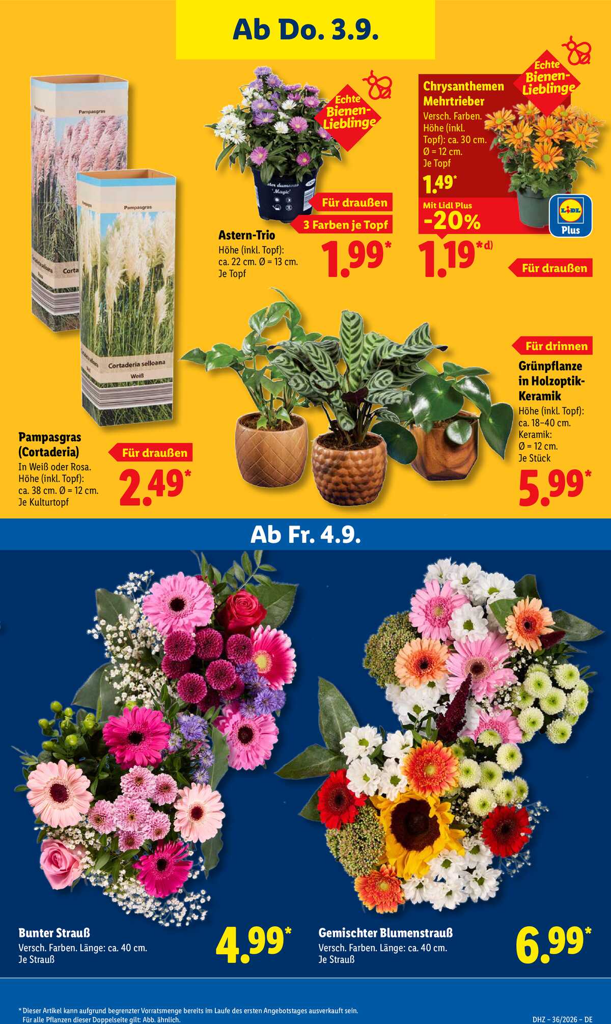 Leták Lidl Německo 31.8.-5.9.2026 strana 27