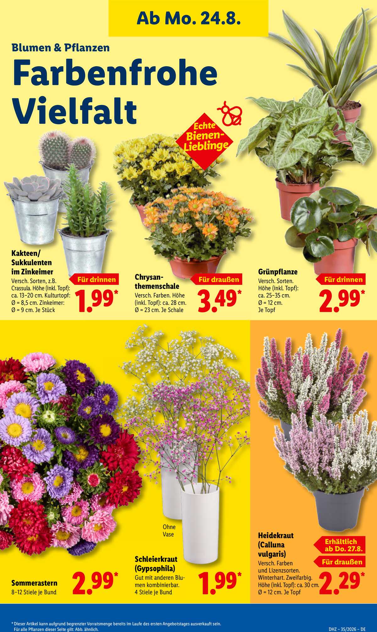 Leták Lidl Německo 24.8.-29.8.2026 strana 15