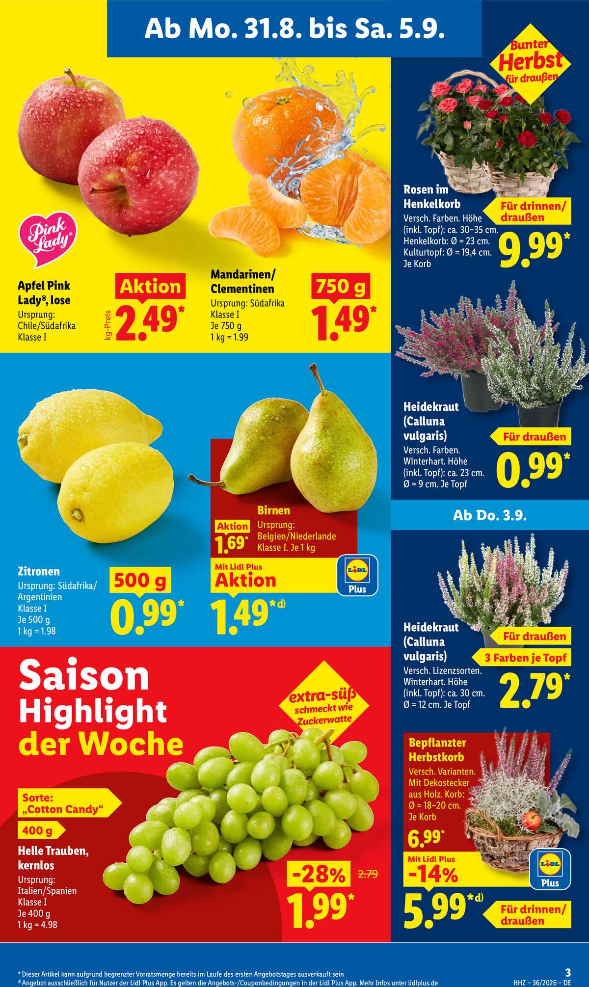 Leták Lidl Německo 31.8.-5.9.2026 strana 3