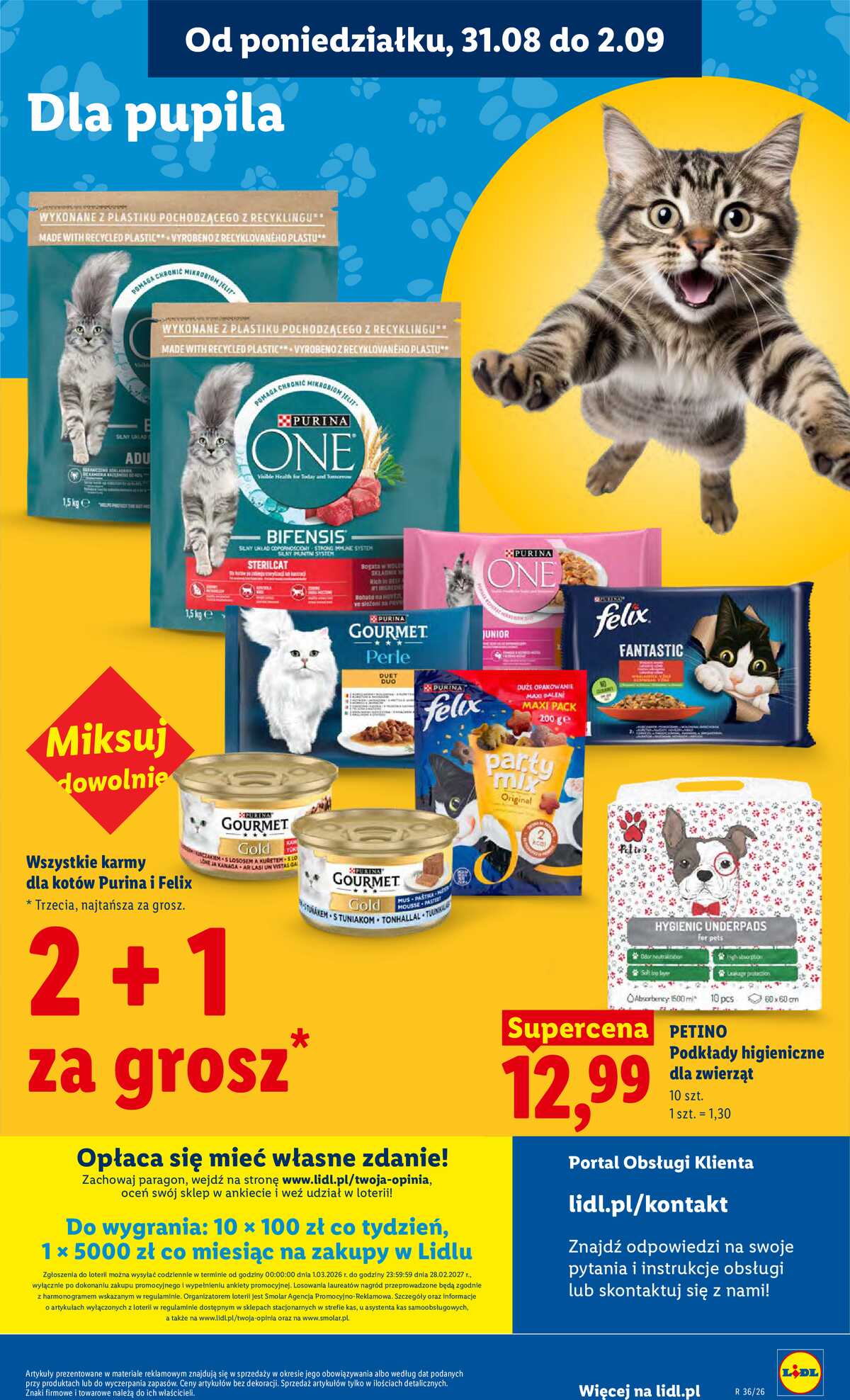 Leták Lidl Polsko 31.8.-2.9.2026 - Leták platí od 31. srpna do 2. září strana 85