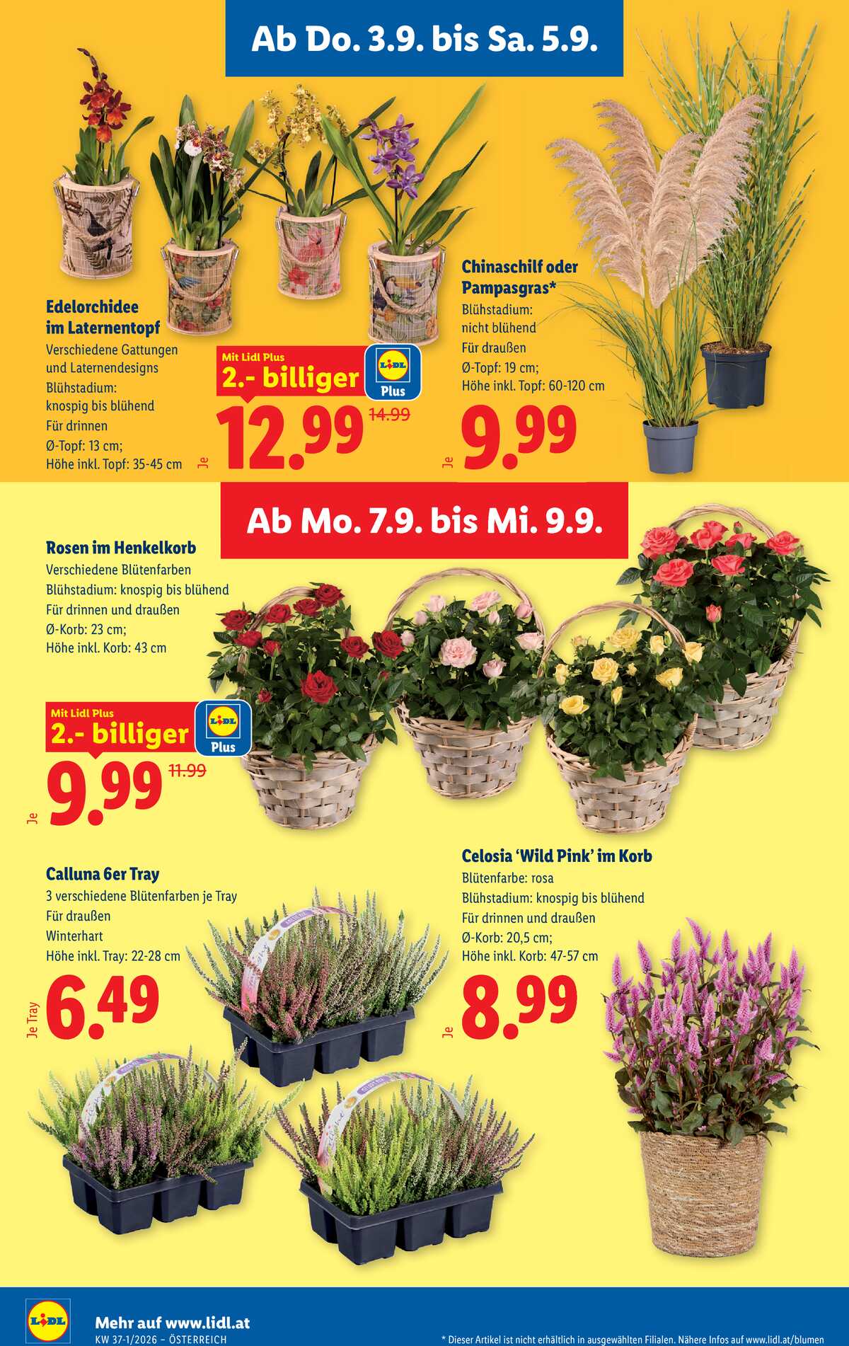 Leták Lidl Rakousko 3.9.-9.9.2026 strana 28