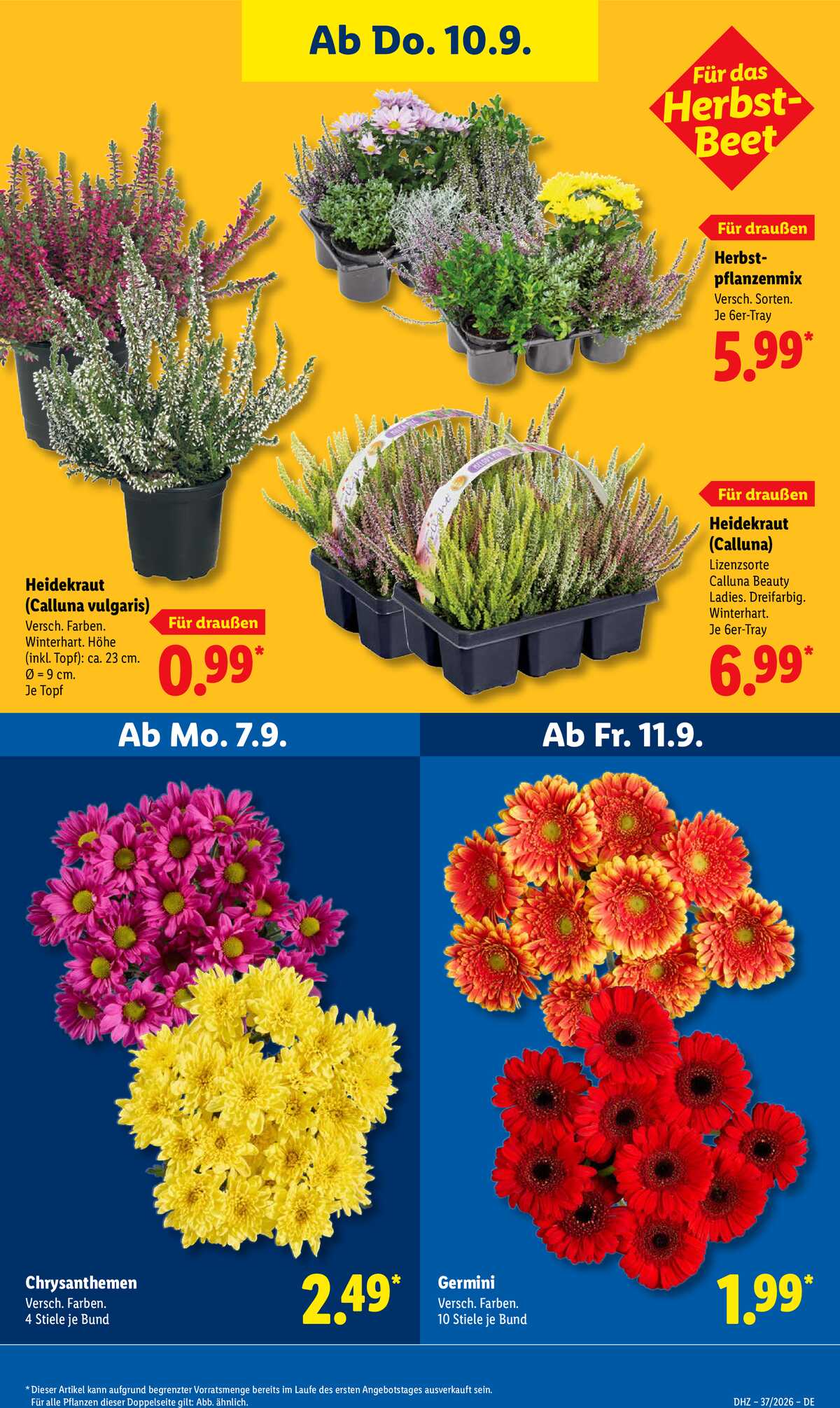 Leták Lidl Německo 7.9.-12.9.2026 strana 27