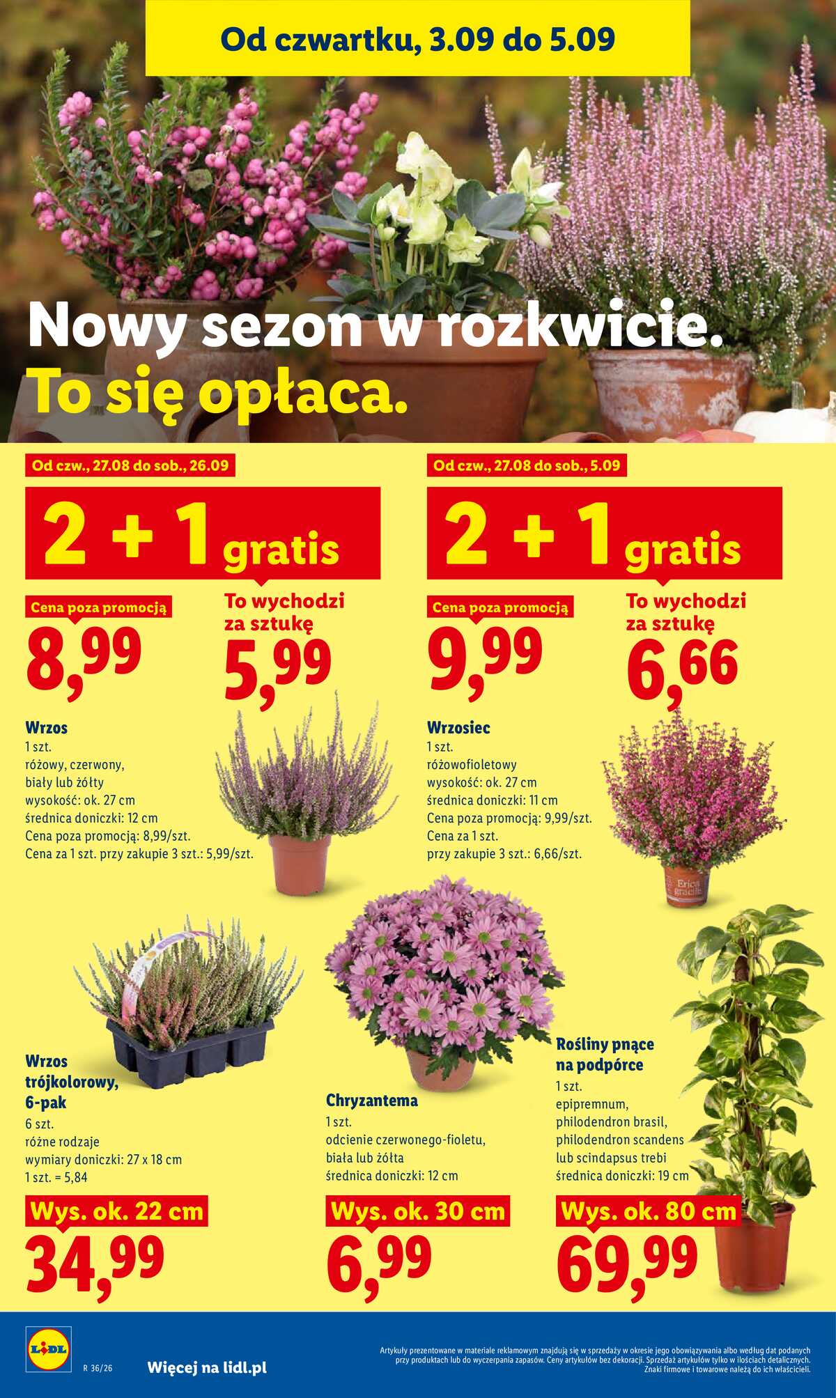 Leták Lidl Polsko 3.9.-5.9.2026 - Leták platí od 3. září do 5. září strana 90