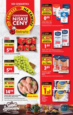 Biedronka Polsko (Polska) letáky