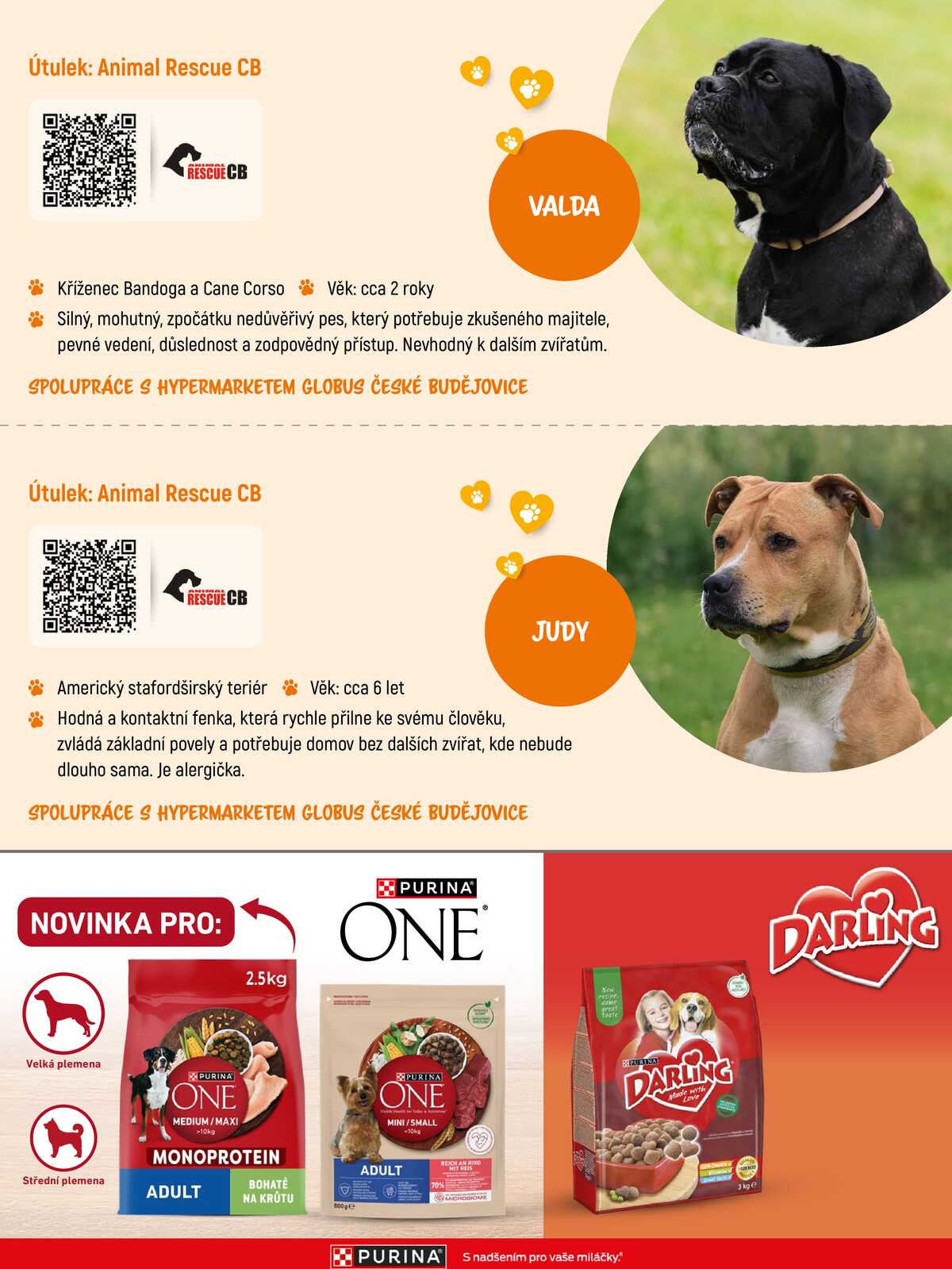 Akční leták Globus 7.9. - 31.10.2026 - Globus Havířov strana 11