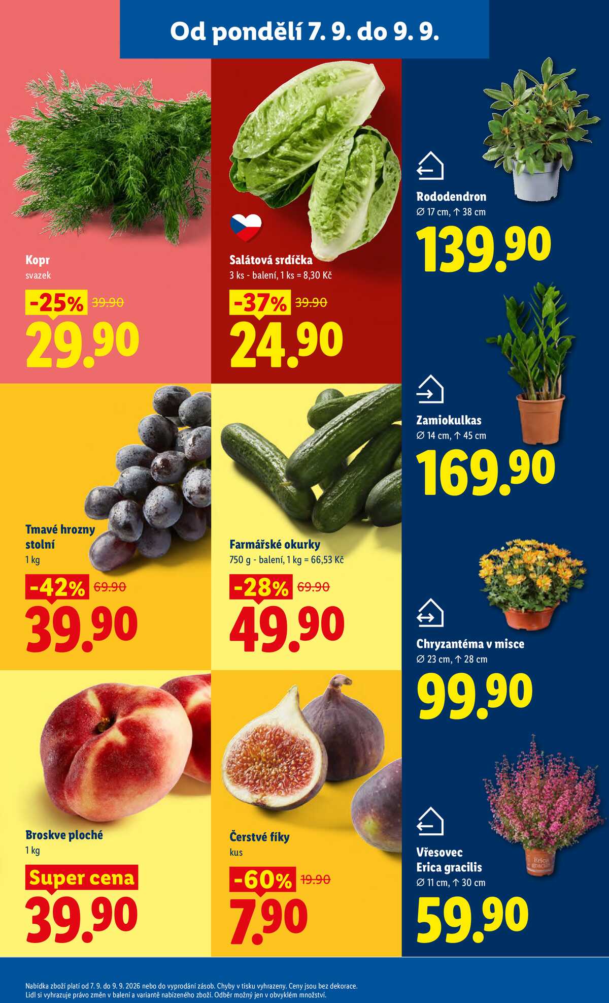 Lidl od 7.9. do 9.9.2026 strana 15