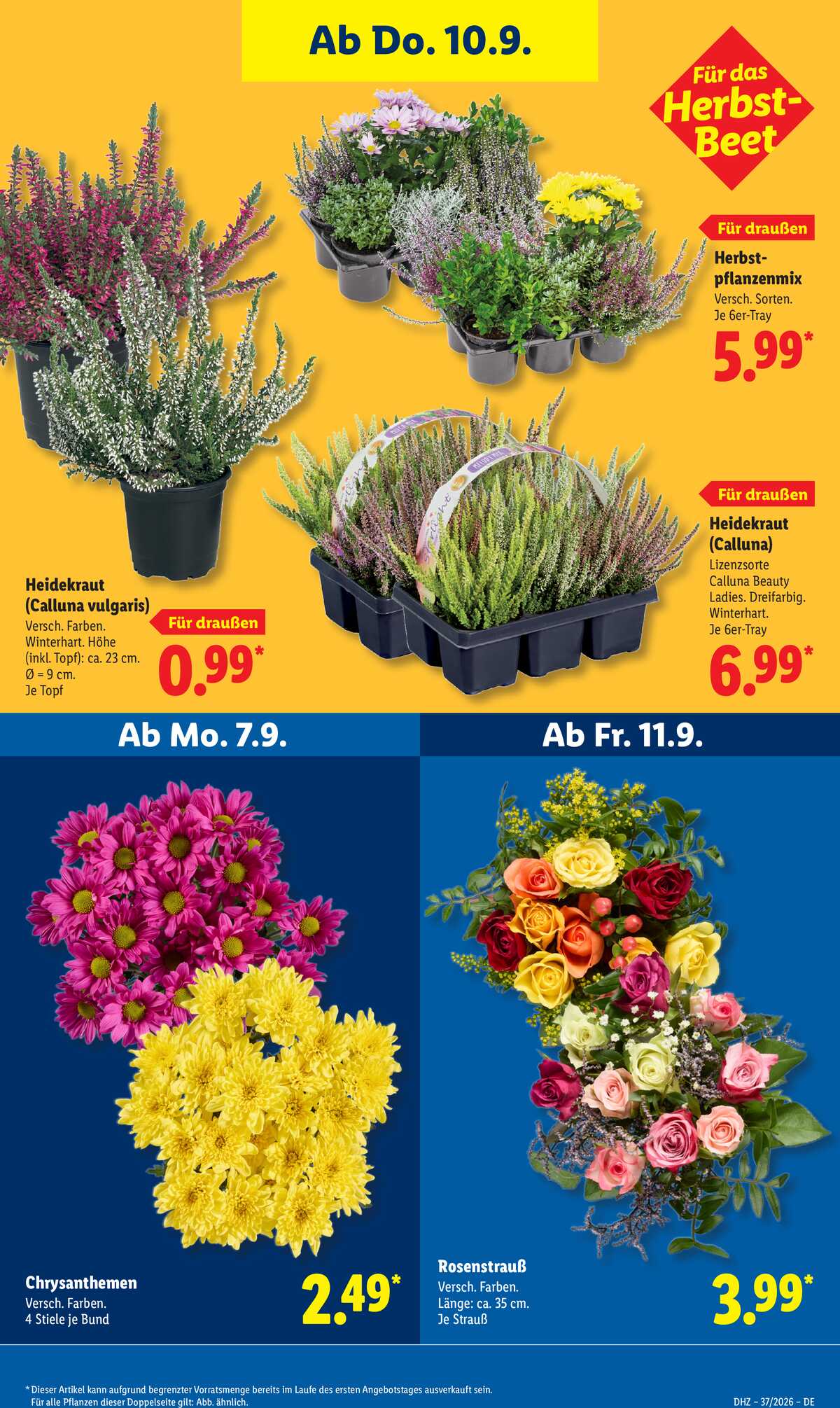 Leták Lidl Německo 7.9.-12.9.2026 strana 27