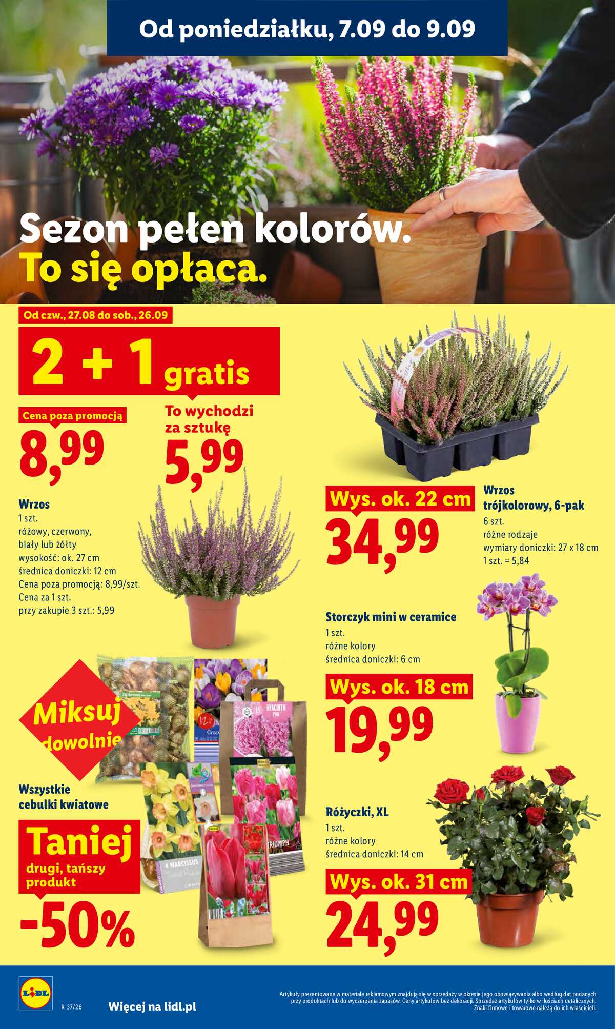 Leták Lidl Polsko 7.9.-9.9.2026 - Leták platí od 7. září do 9. září strana 82